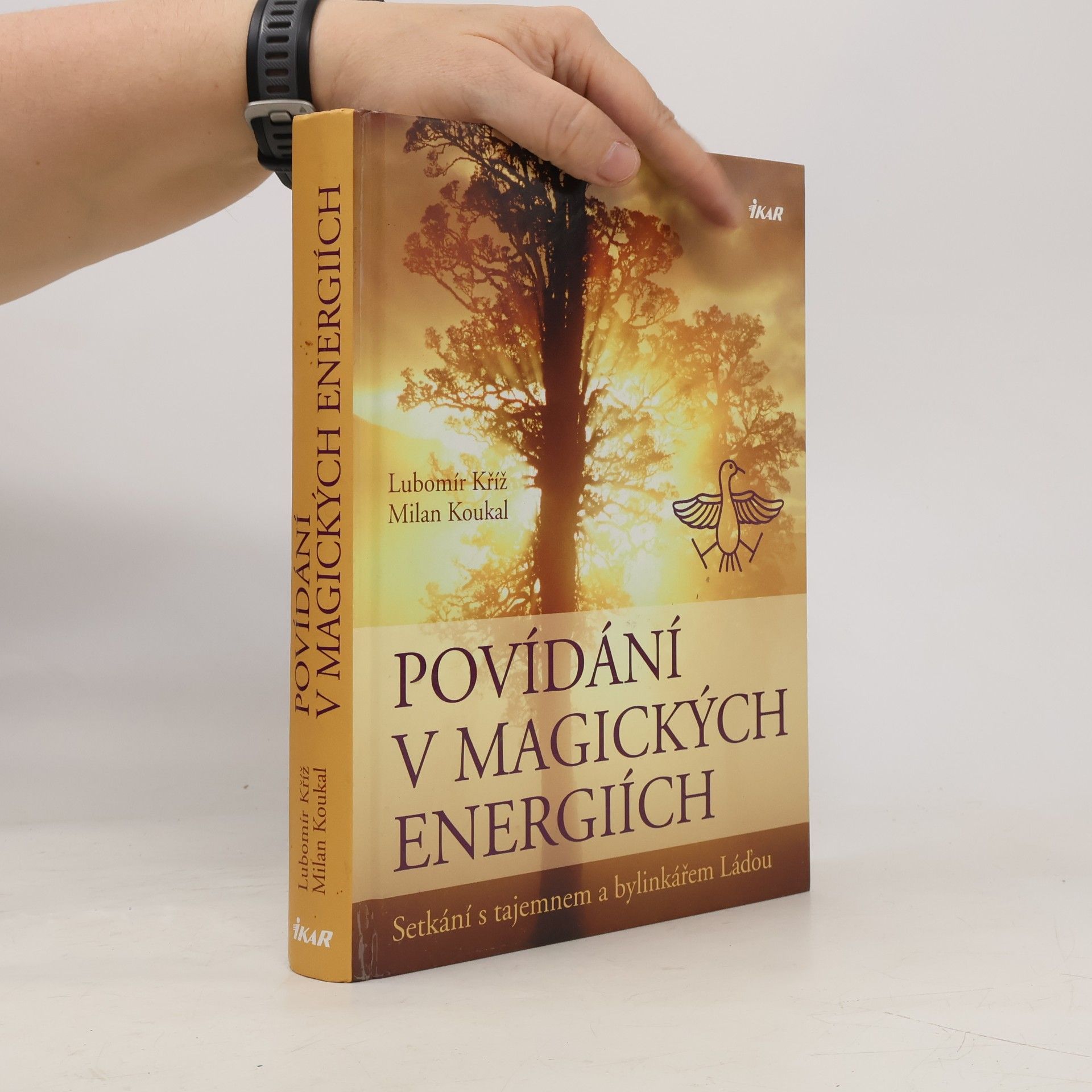 Lubomír Kříž Povídání v magických energiích
