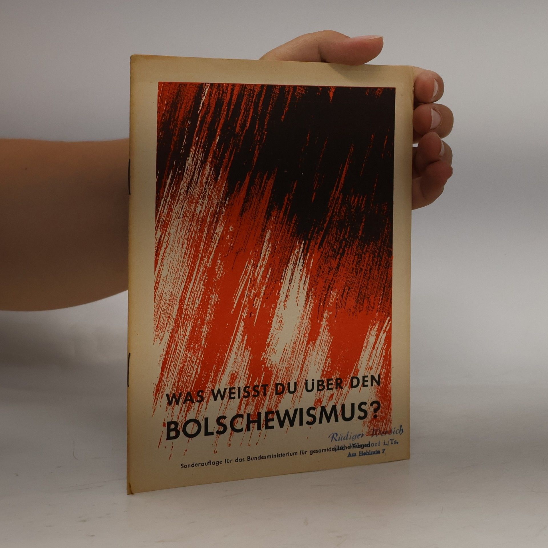 Autorenkollektiv Was weißt du über den Bolschewismus?