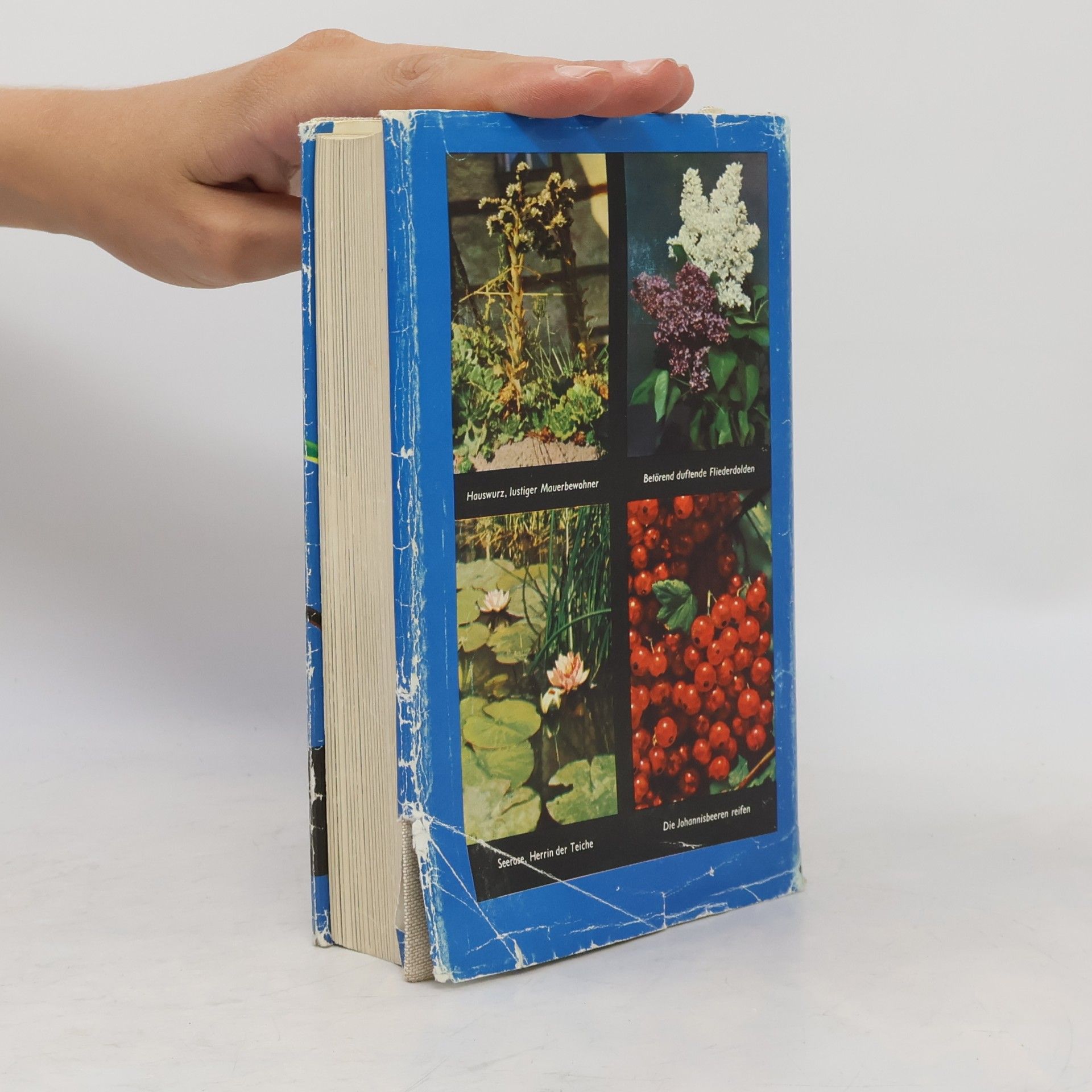 Horst Koehler Das praktische Gartenbuch