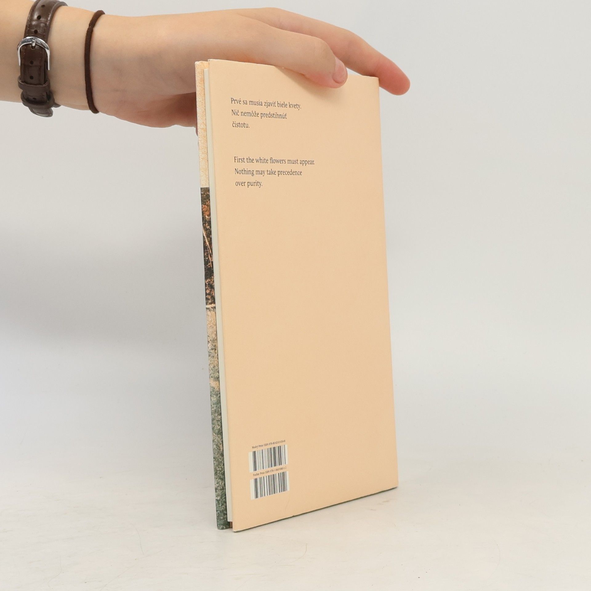 Peter Milčák Podoby milosti / Forms of Grace