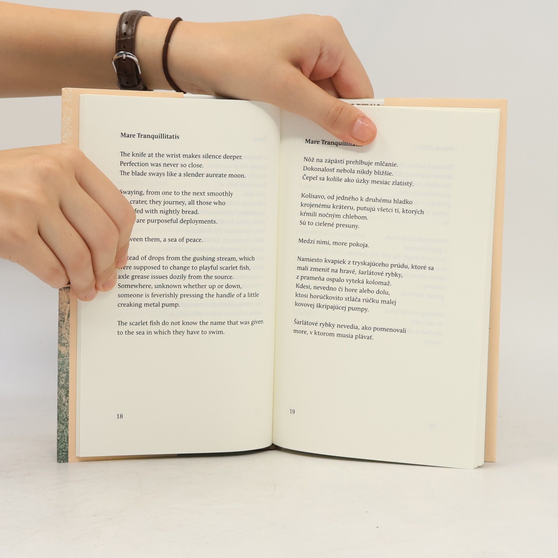 Peter Milčák Podoby milosti / Forms of Grace