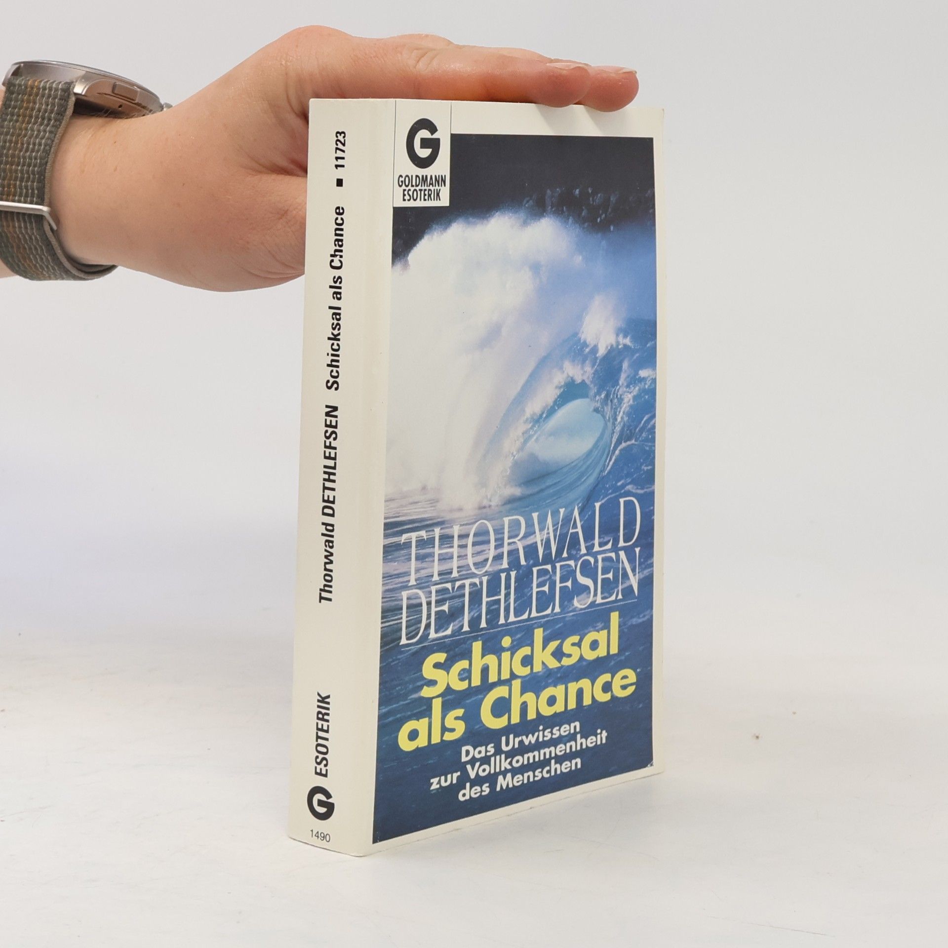 Thorwald Dethlefsen Schicksal als Chance