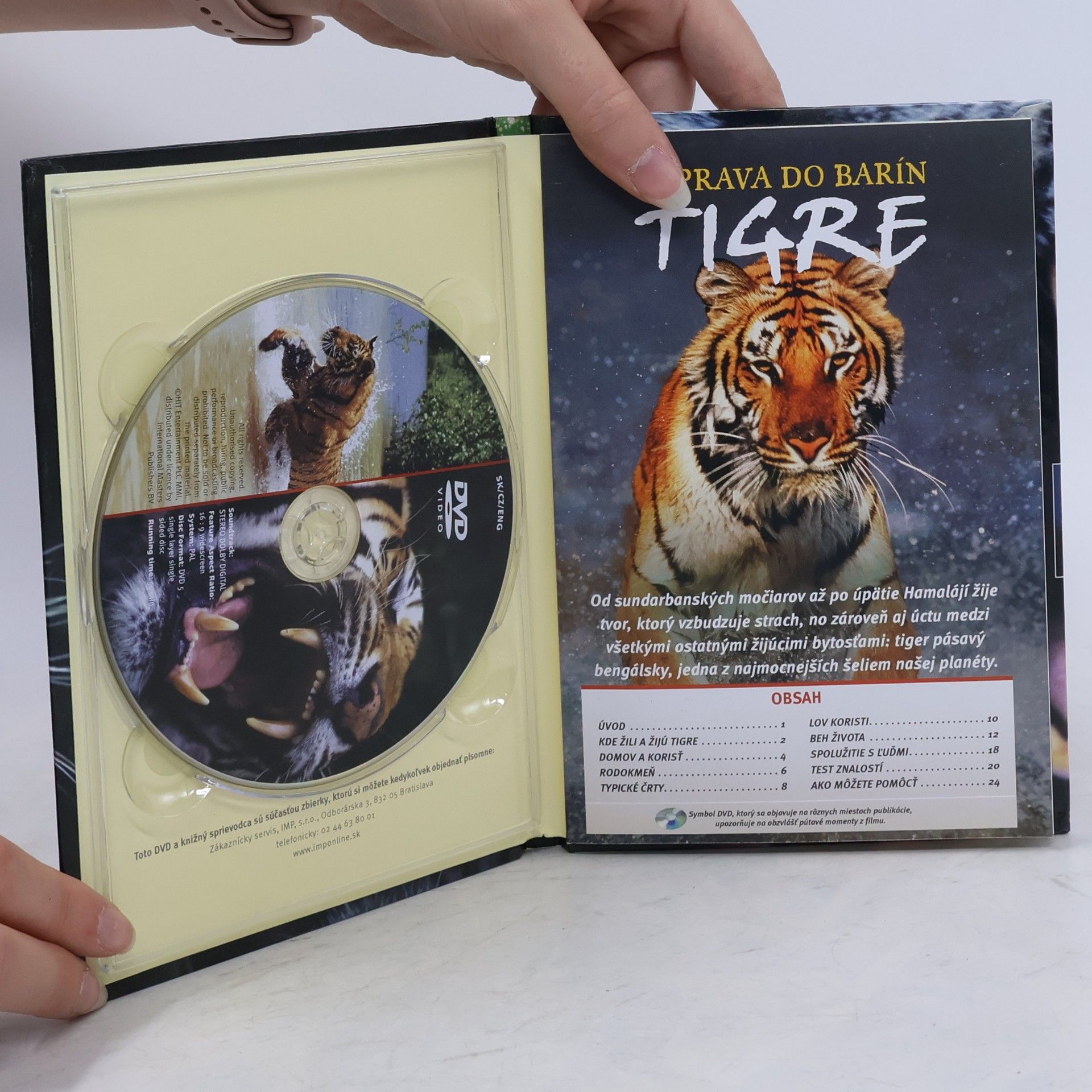 Kolektiv autorů Tigre. Výprava do barín
