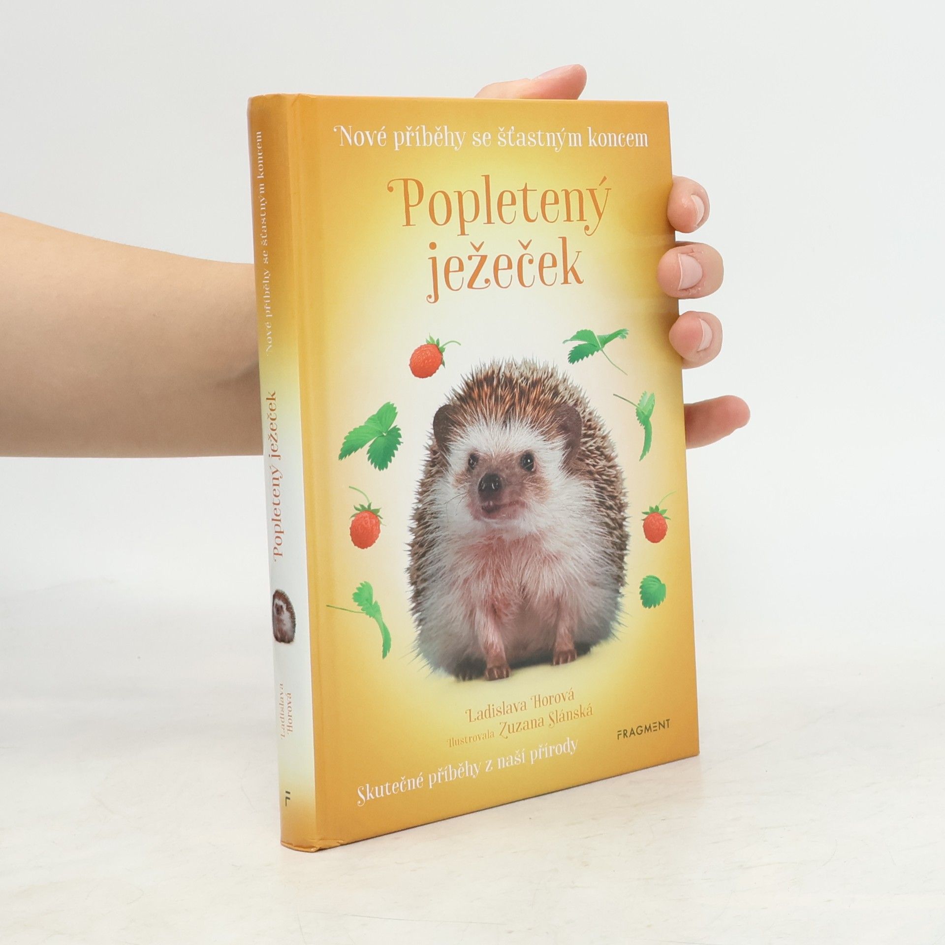 Zuzana Slánská Popletený ježeček