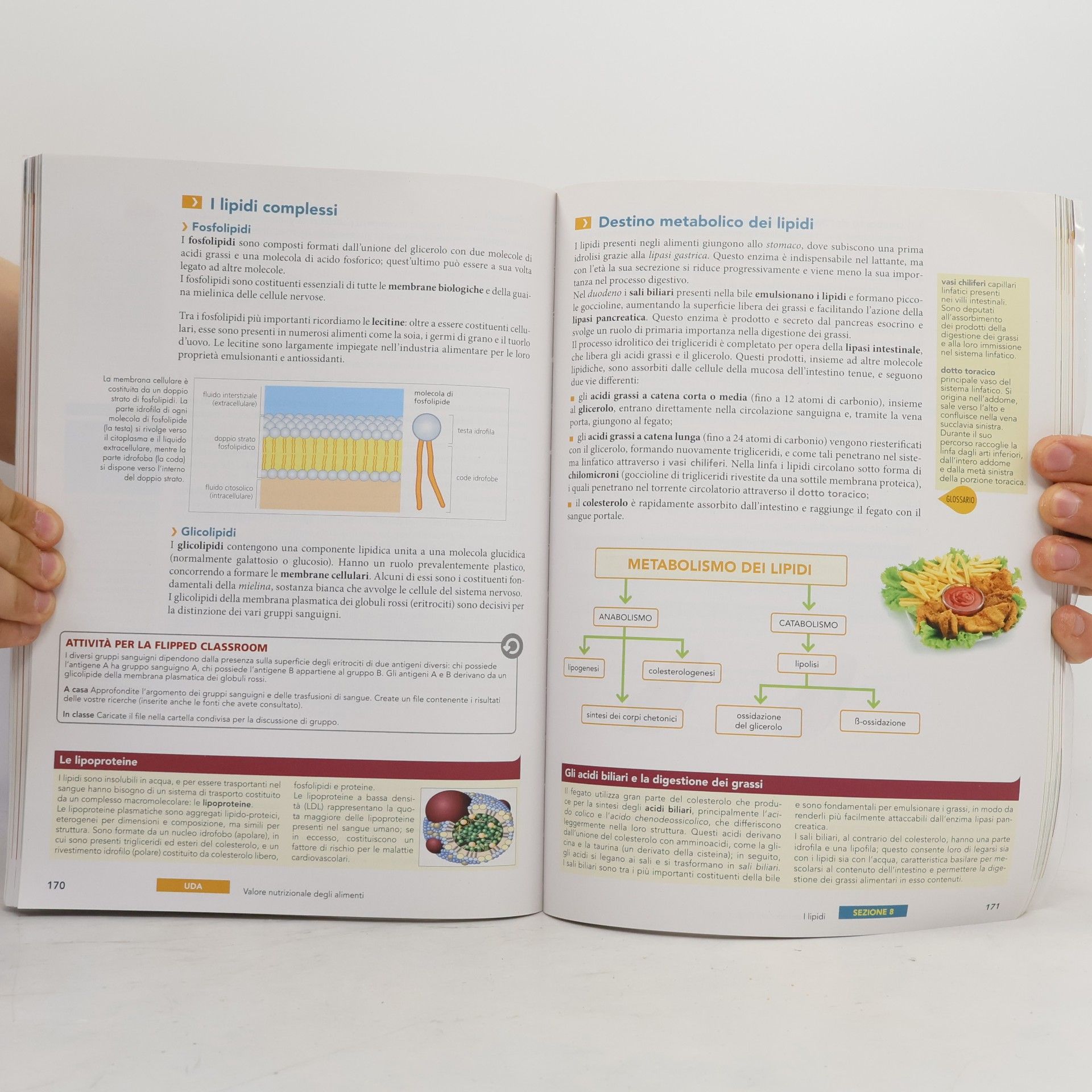 A. Machado Scienza e cultura dell'alimentazione 4