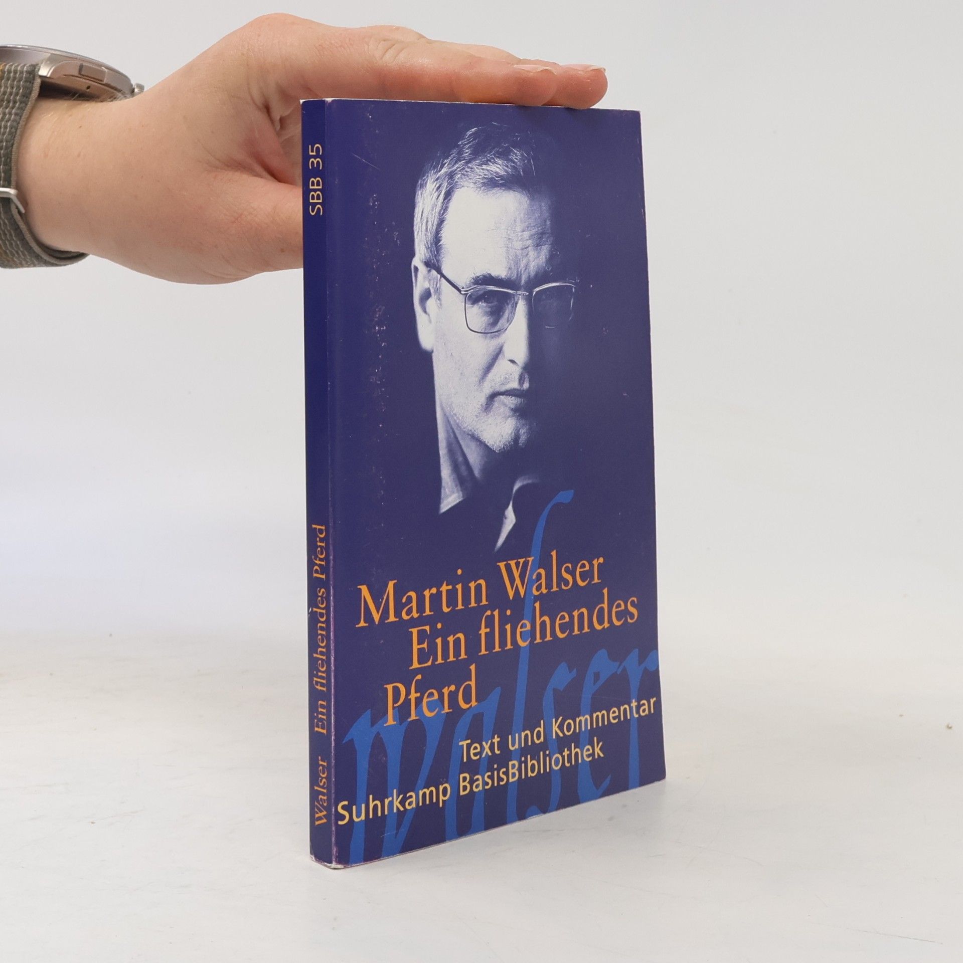 Martin Walser Ein fliehendes Pferd
