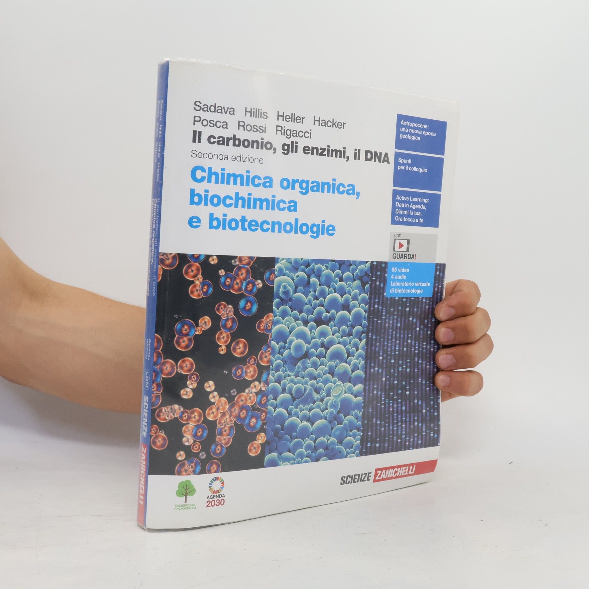 Collectif d'auteurs Chimica organica, biochimica e biotecnologie
