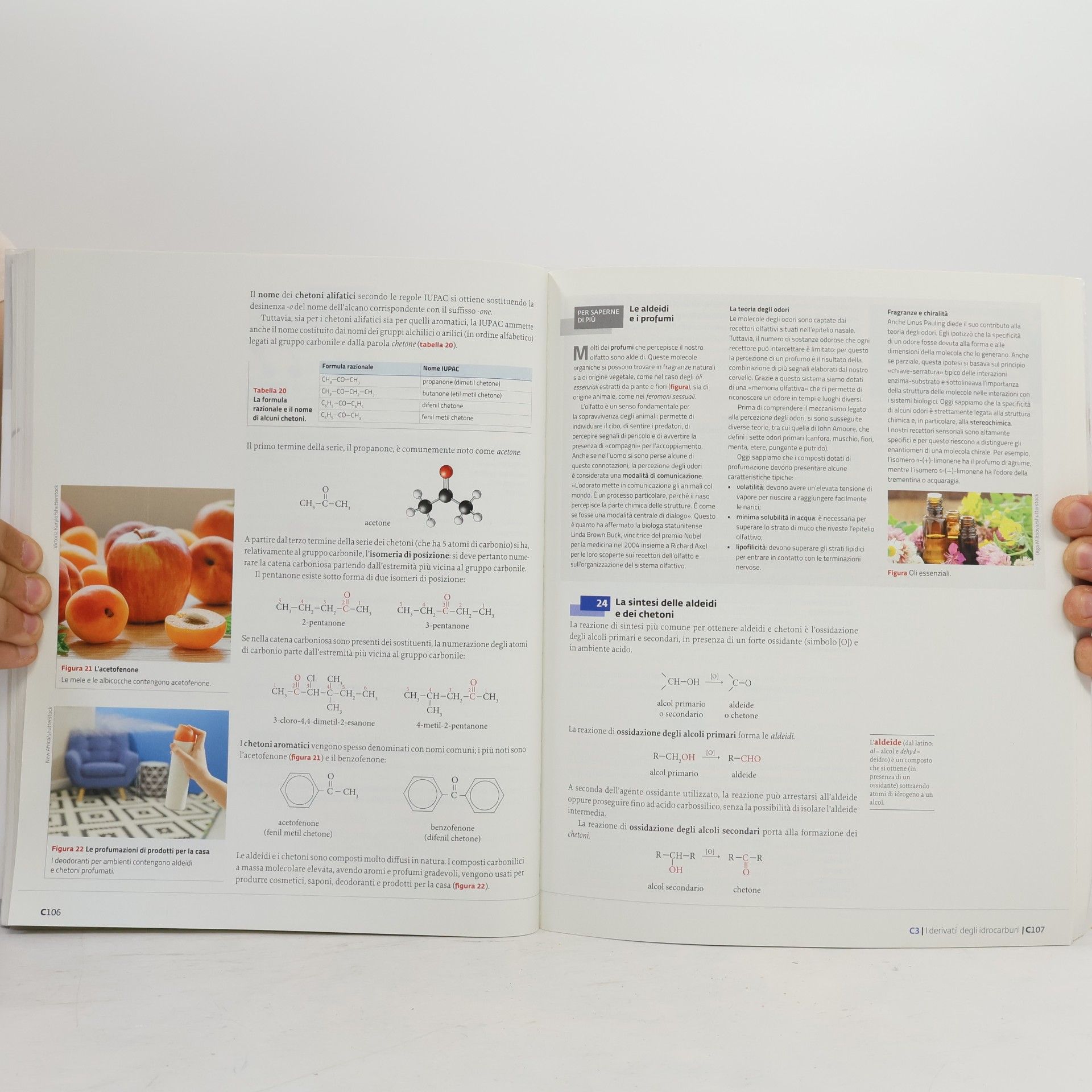 Kolektiv autorů Chimica organica, biochimica e biotecnologie