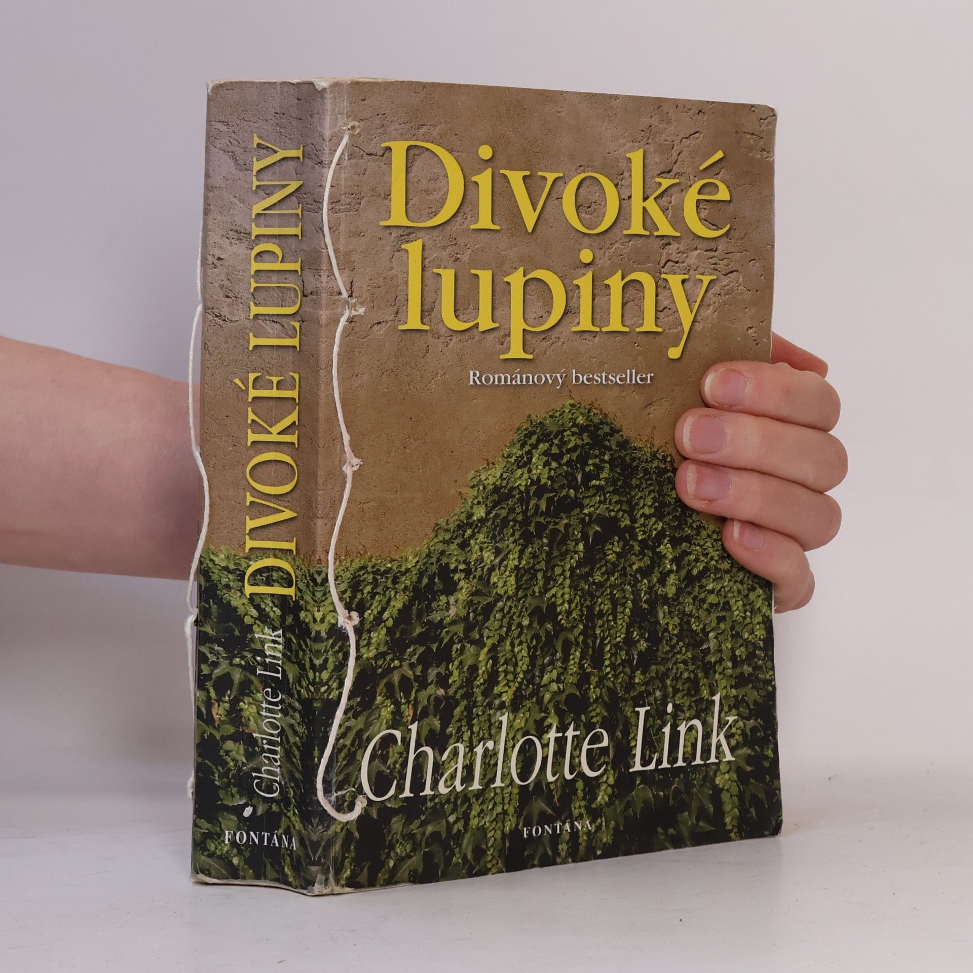 Charlotte Link Divoké lupiny