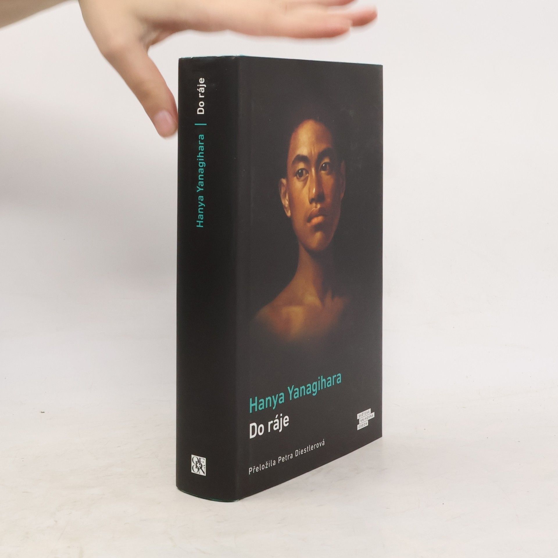 Hanya Yanagihara Do ráje