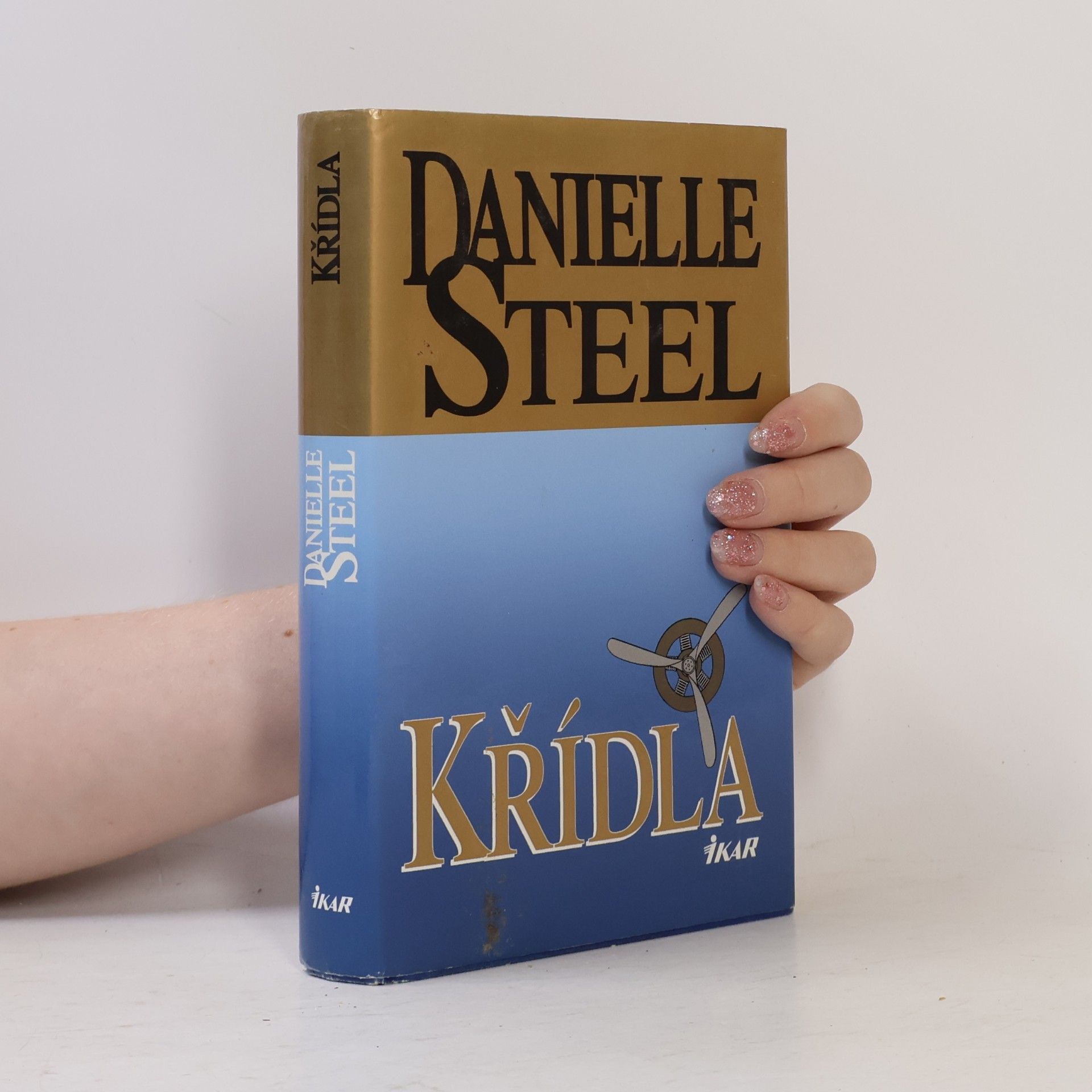 Danielle Steel Křídla