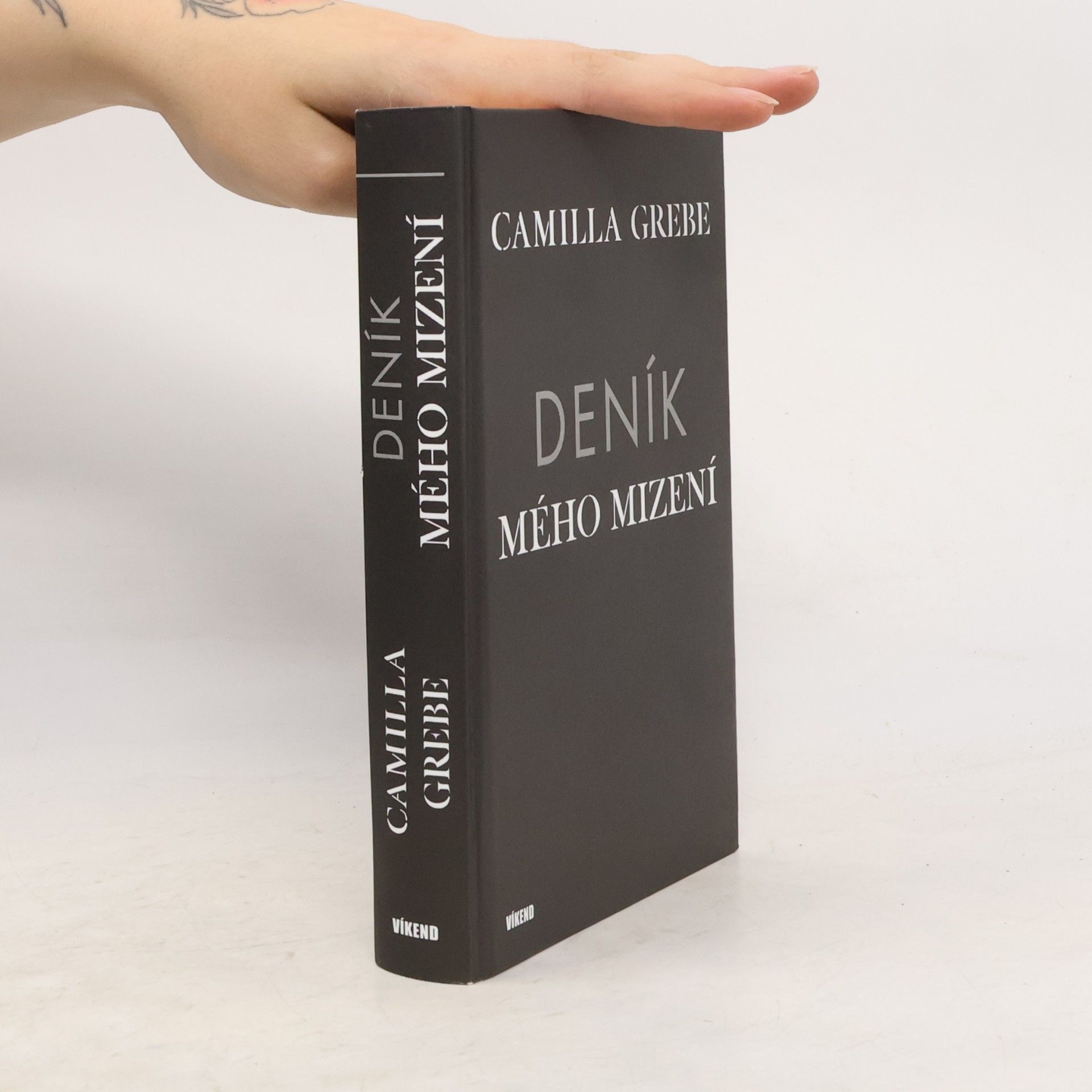 Camilla Grebe Deník mého mizení