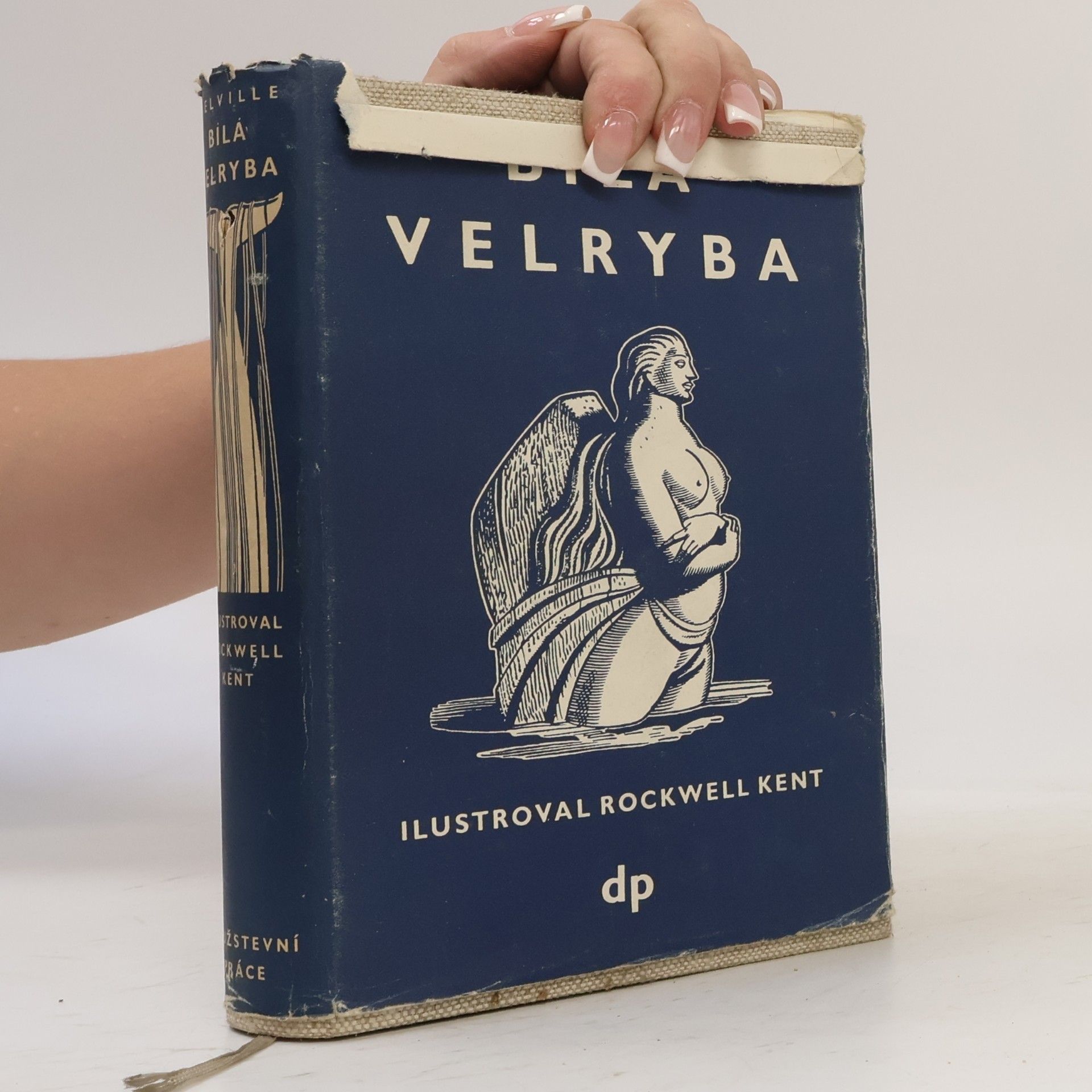 Herman Melville Bílá velryba