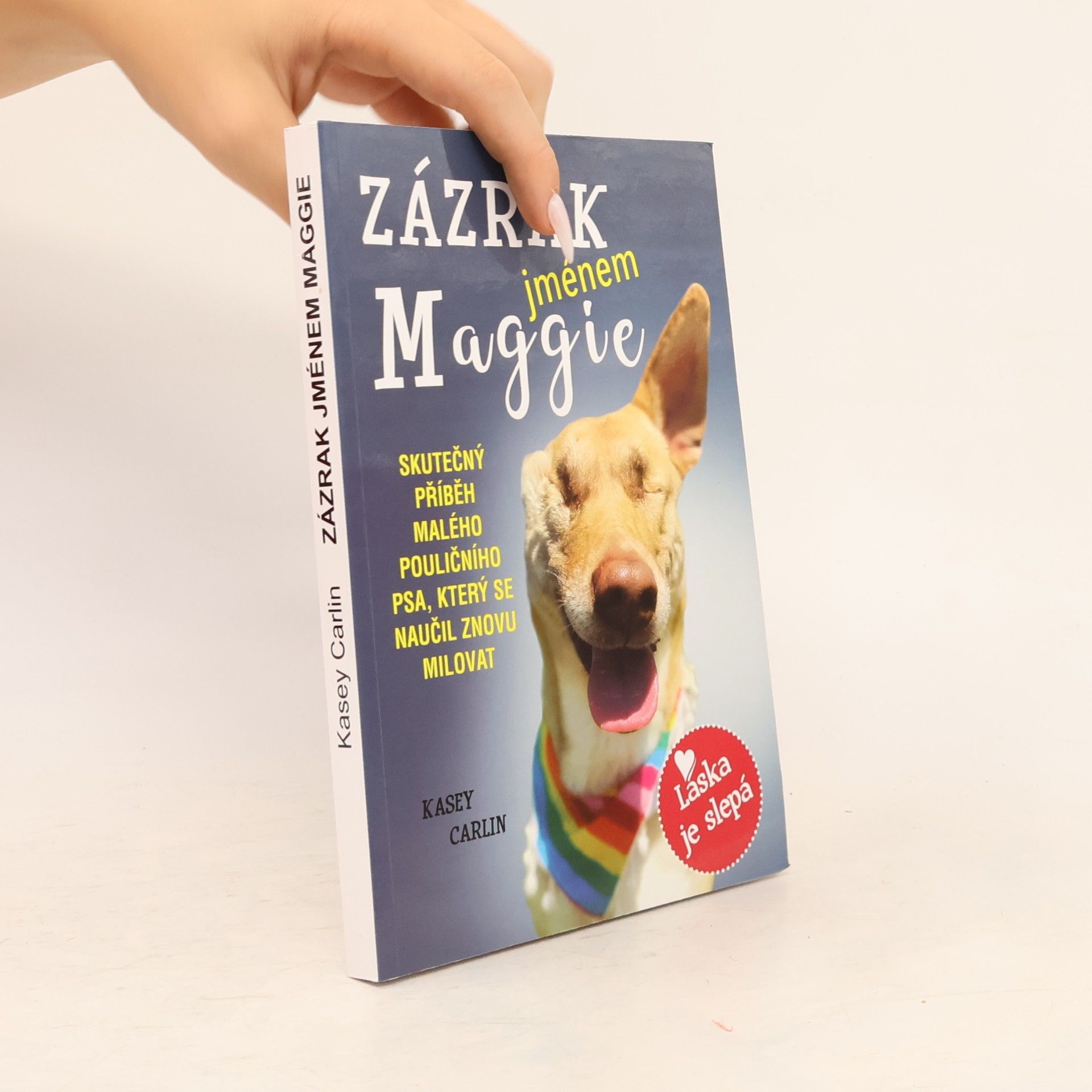 Kasey Carlin Zázrak jménem Maggie (se záložkou)