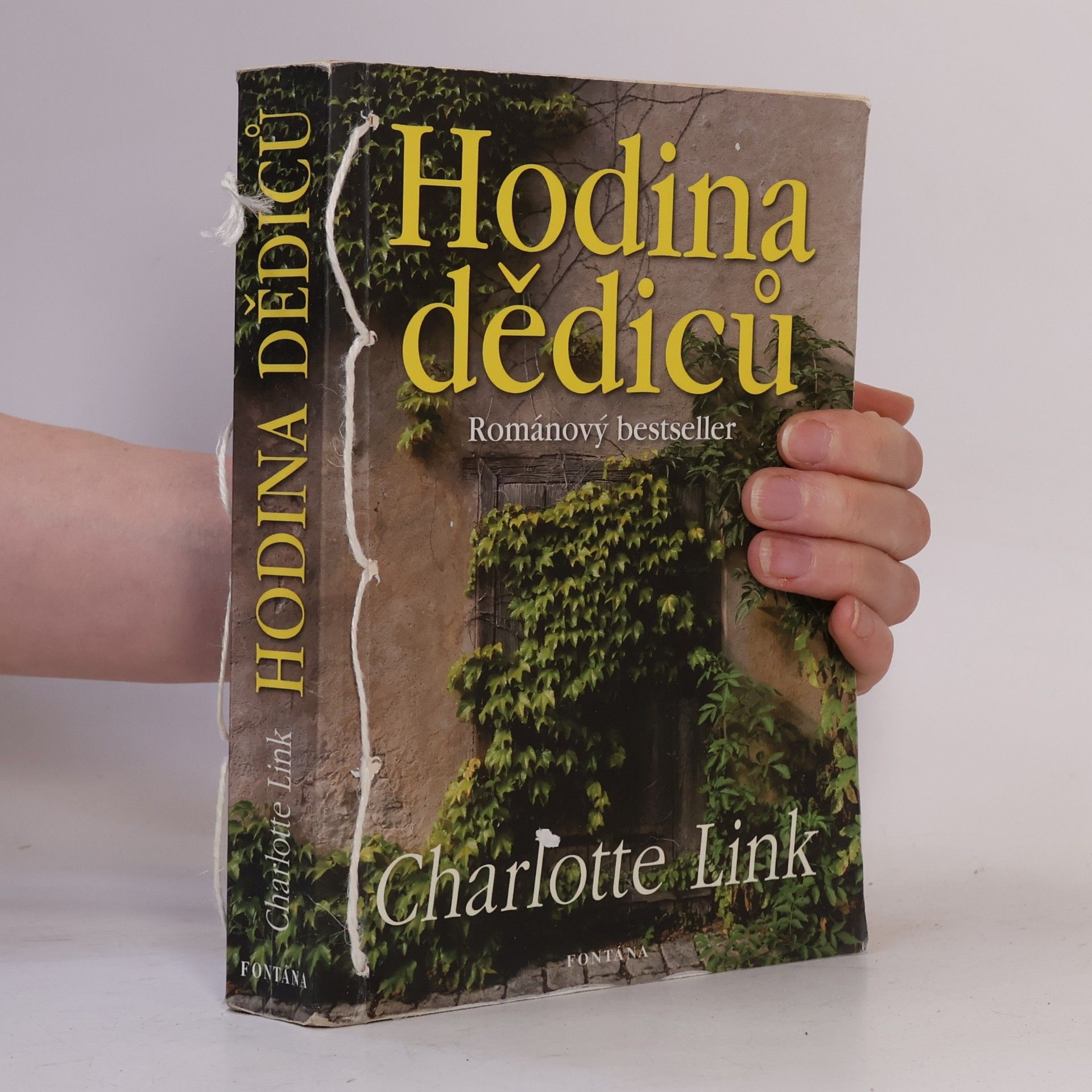 Charlotte Link Hodina dědiců