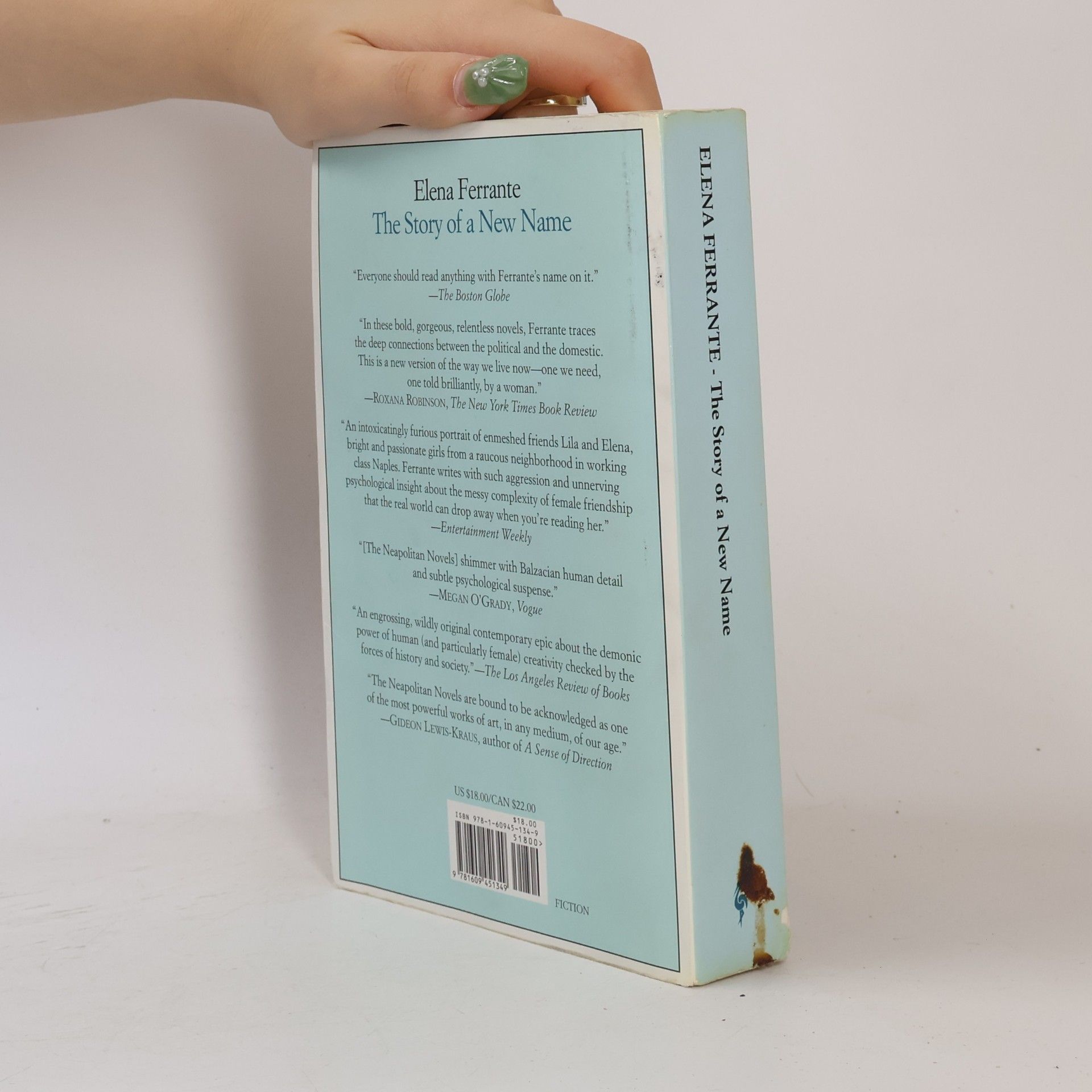 Elena Ferrante The Story of a New Name