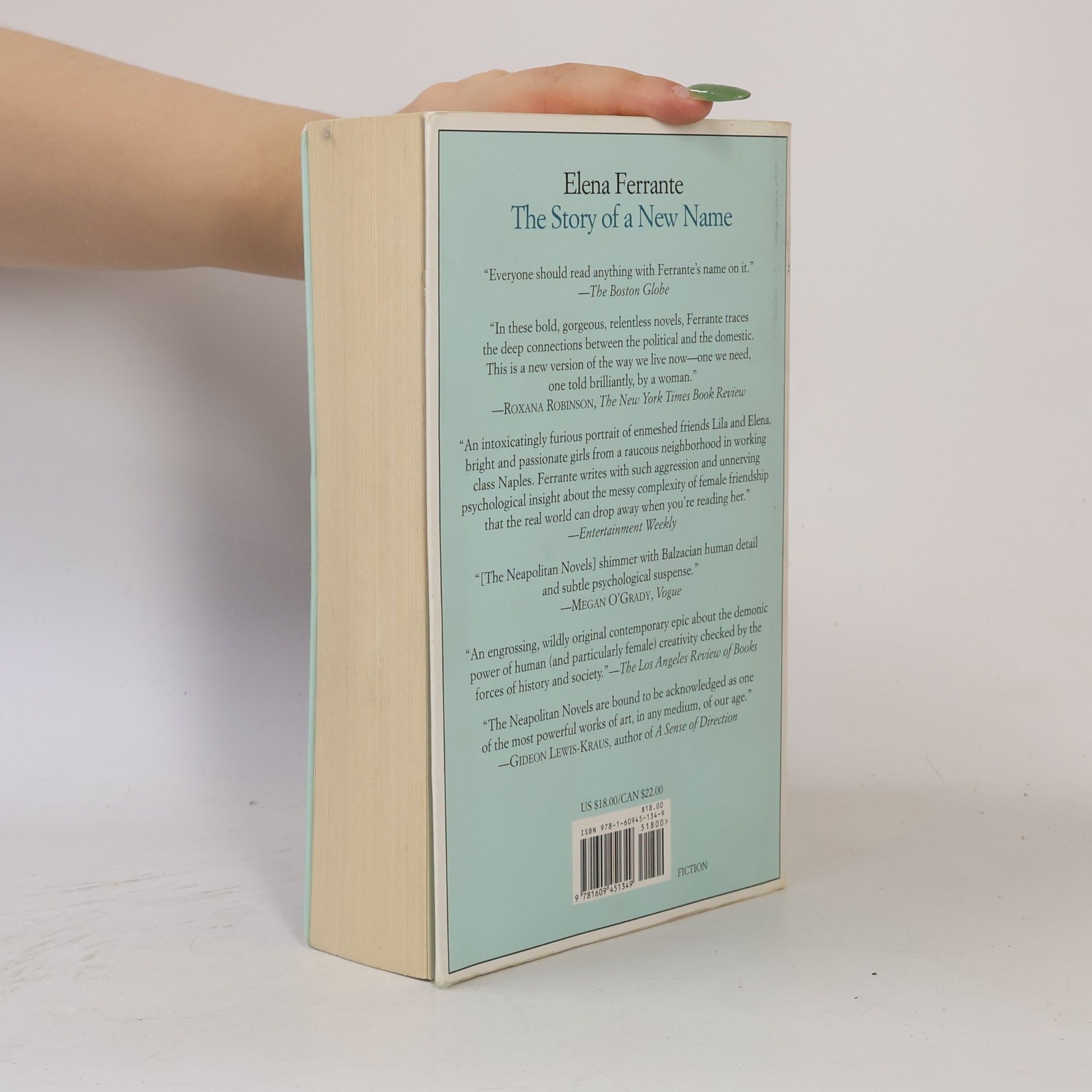 Elena Ferrante The Story of a New Name