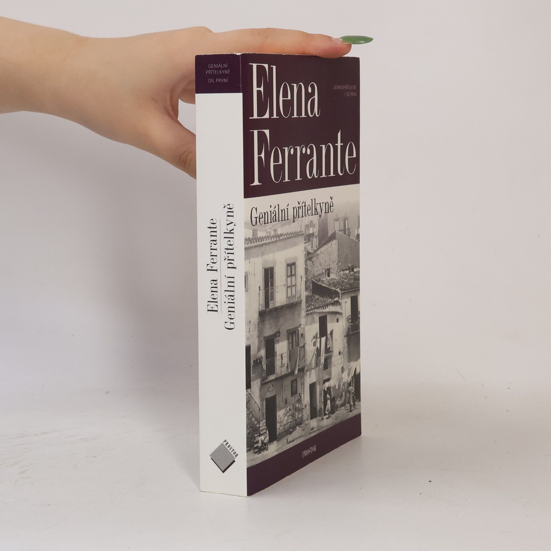 Elena Ferrante Geniální přítelkyně 1. Dětství a dospívání