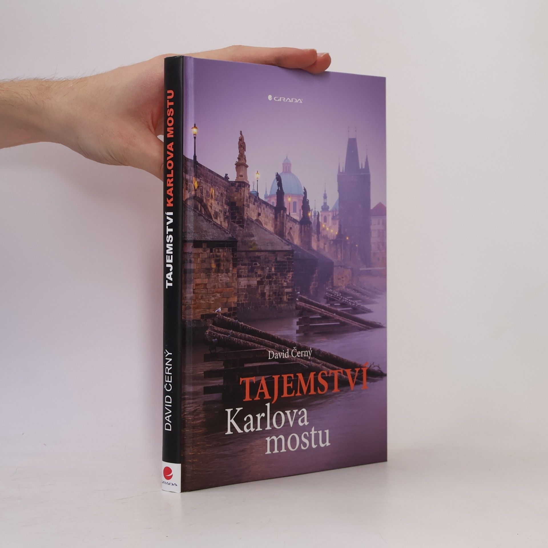 David Černý Tajemství Karlova mostu
