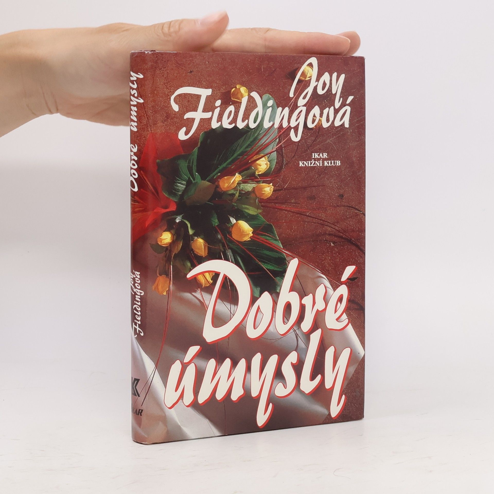 Joy Fielding Dobré úmysly