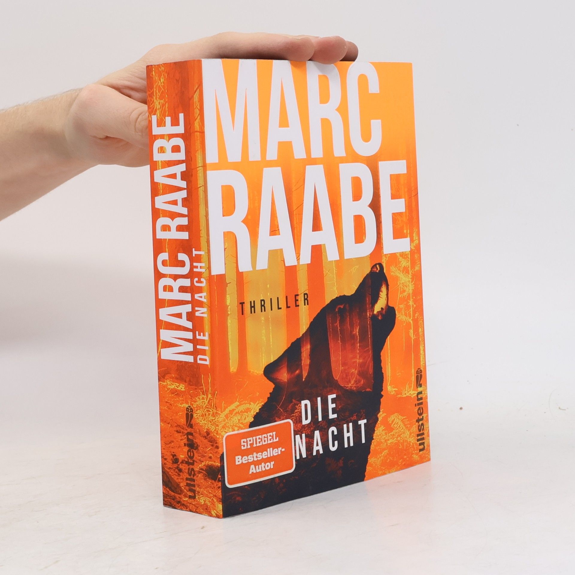 Marc Raabe Die Nacht