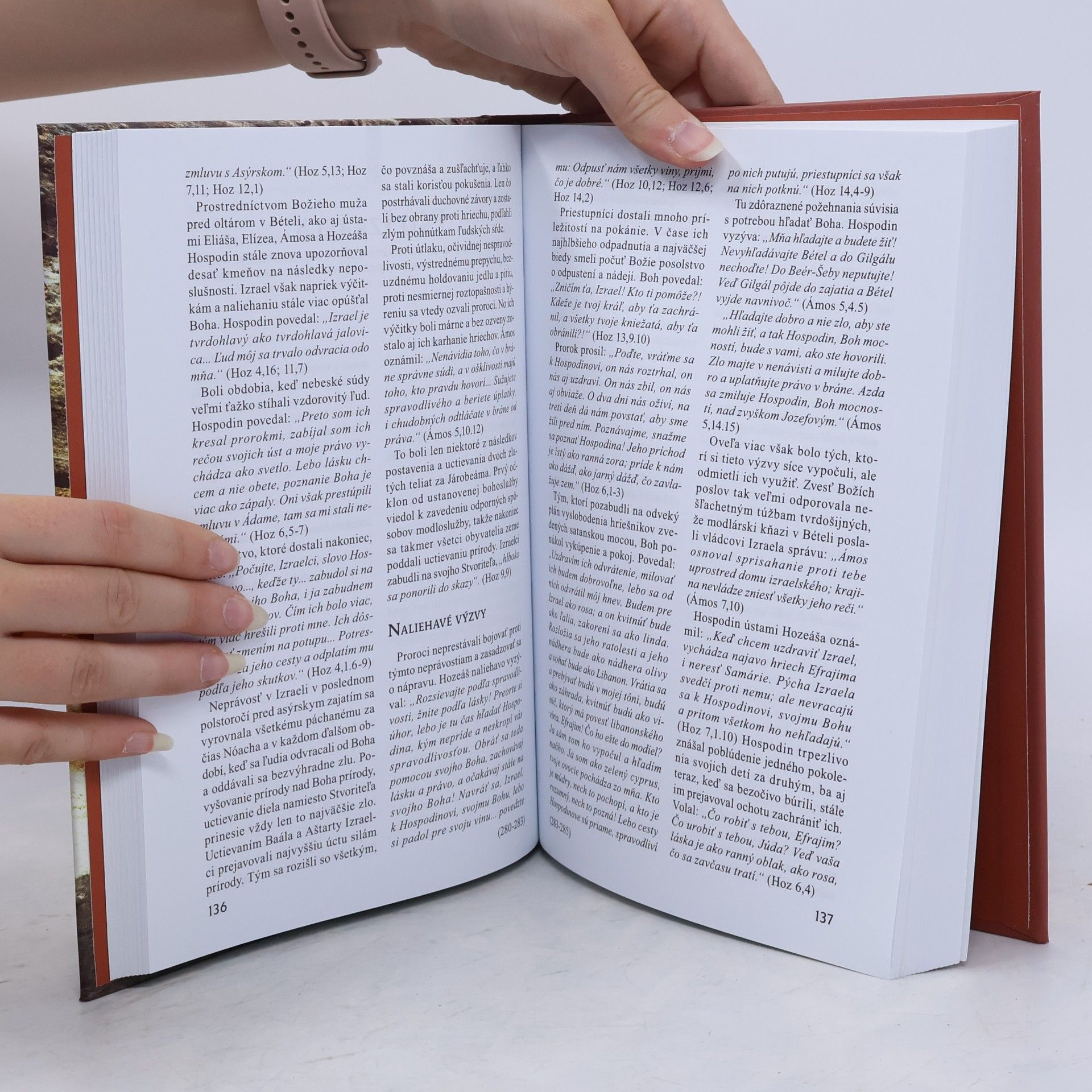Ellen G. White Zo slávy do tieňa. Porotci a Králi