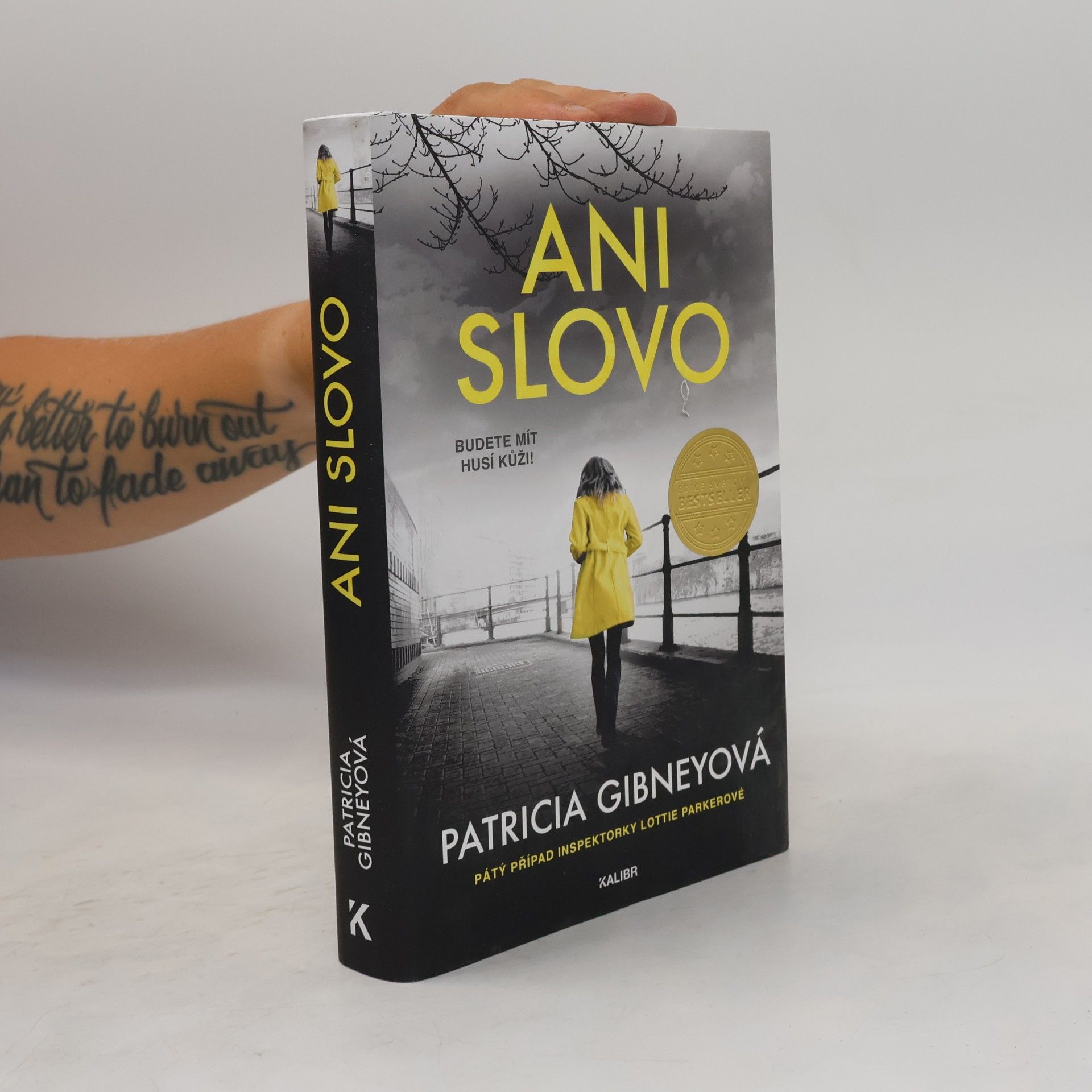 Patricia Gibney Ani slovo