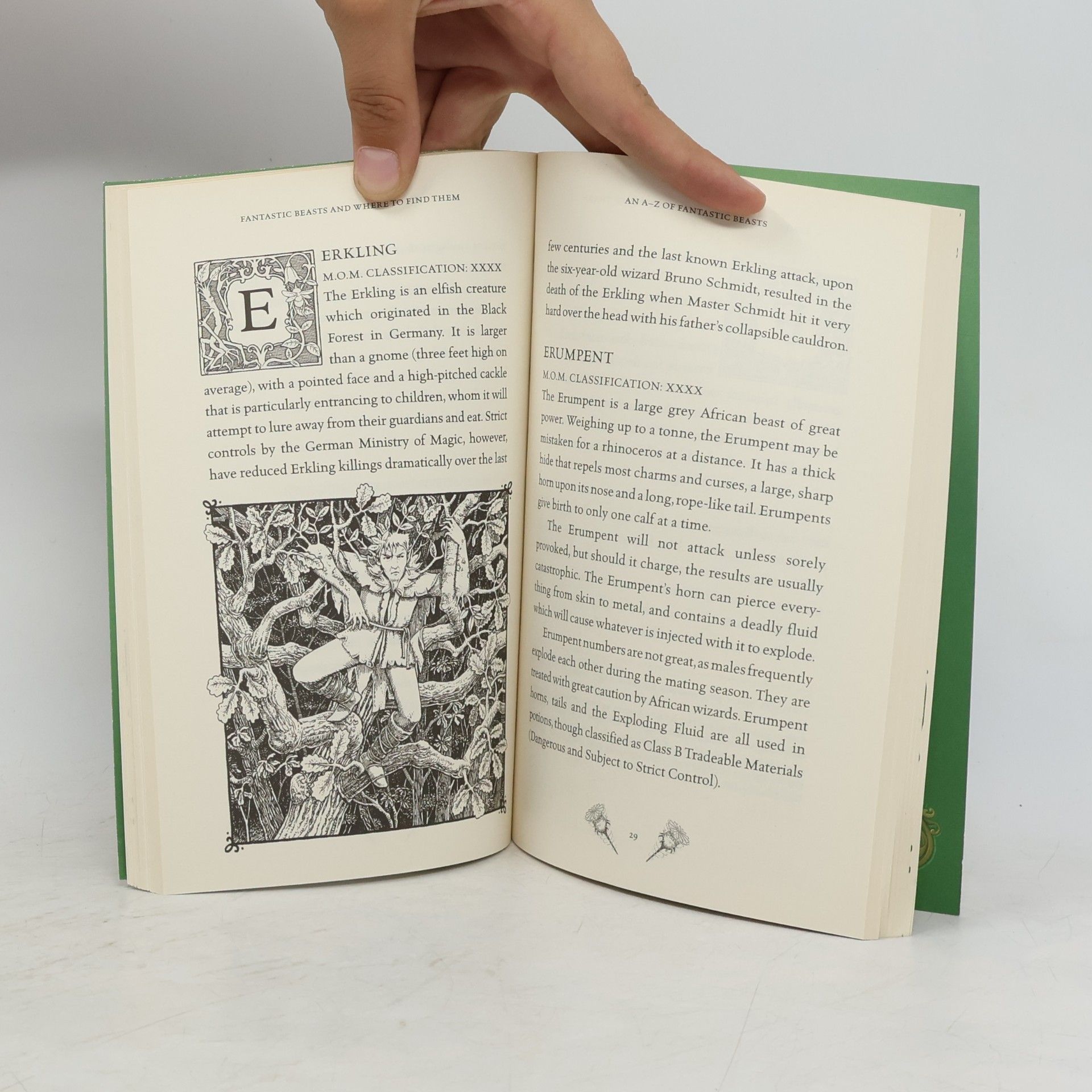 J. K. Rowling Fantastic Beasts and where to find them: Newt Scamander