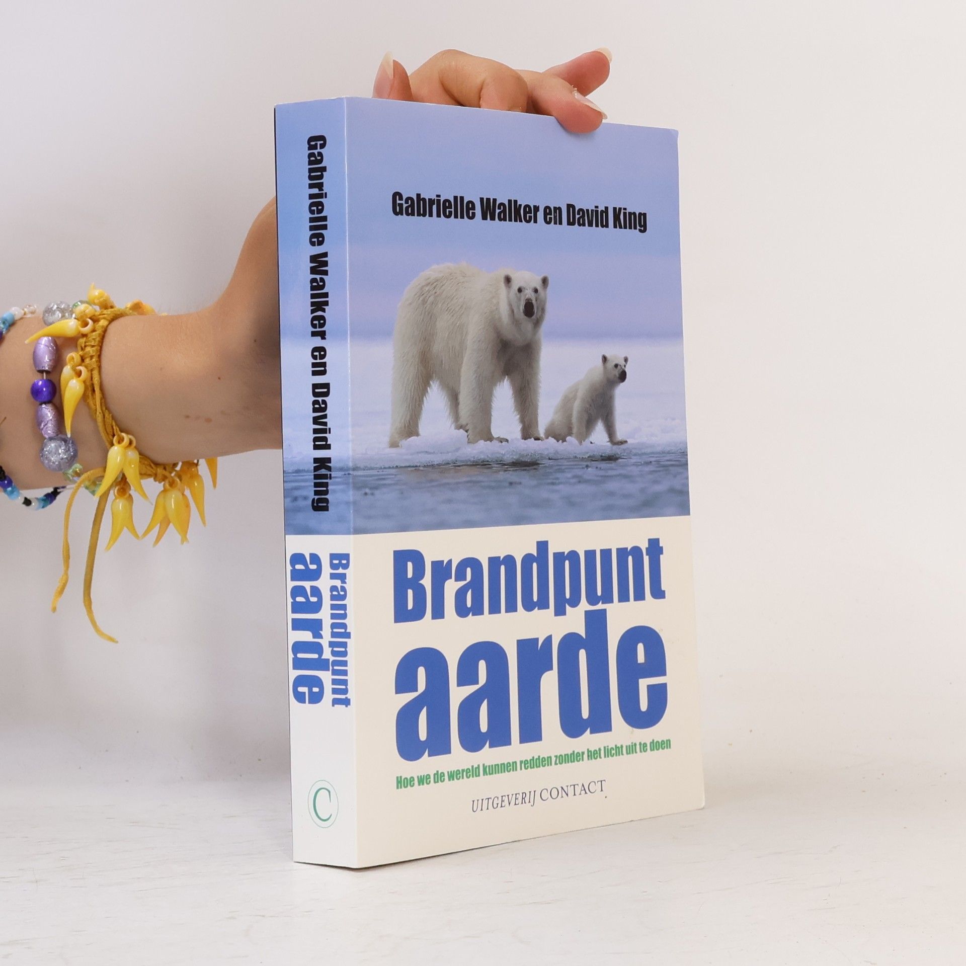 David A. King Brandpunt aarde