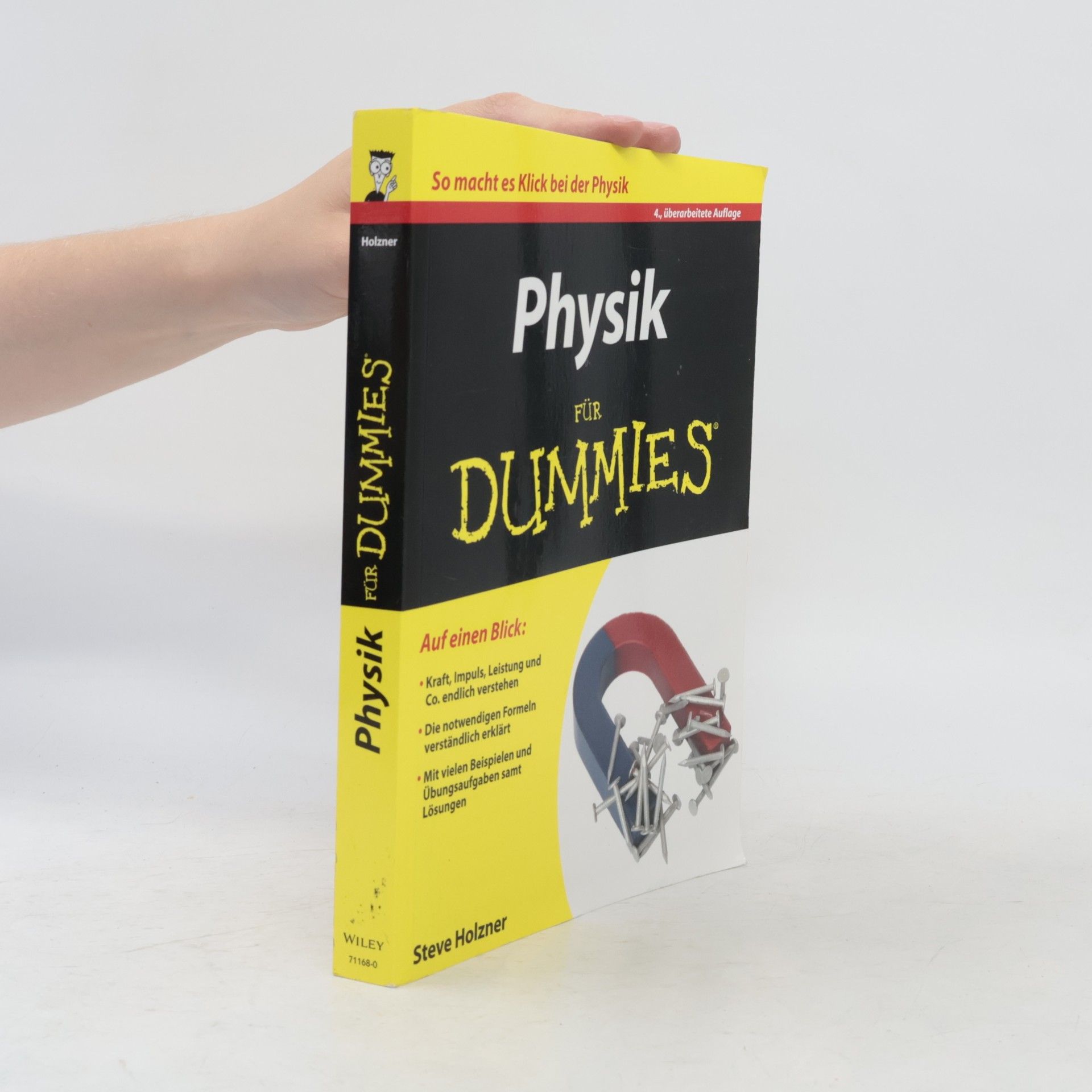 Steven Holzner Physik für Dummies