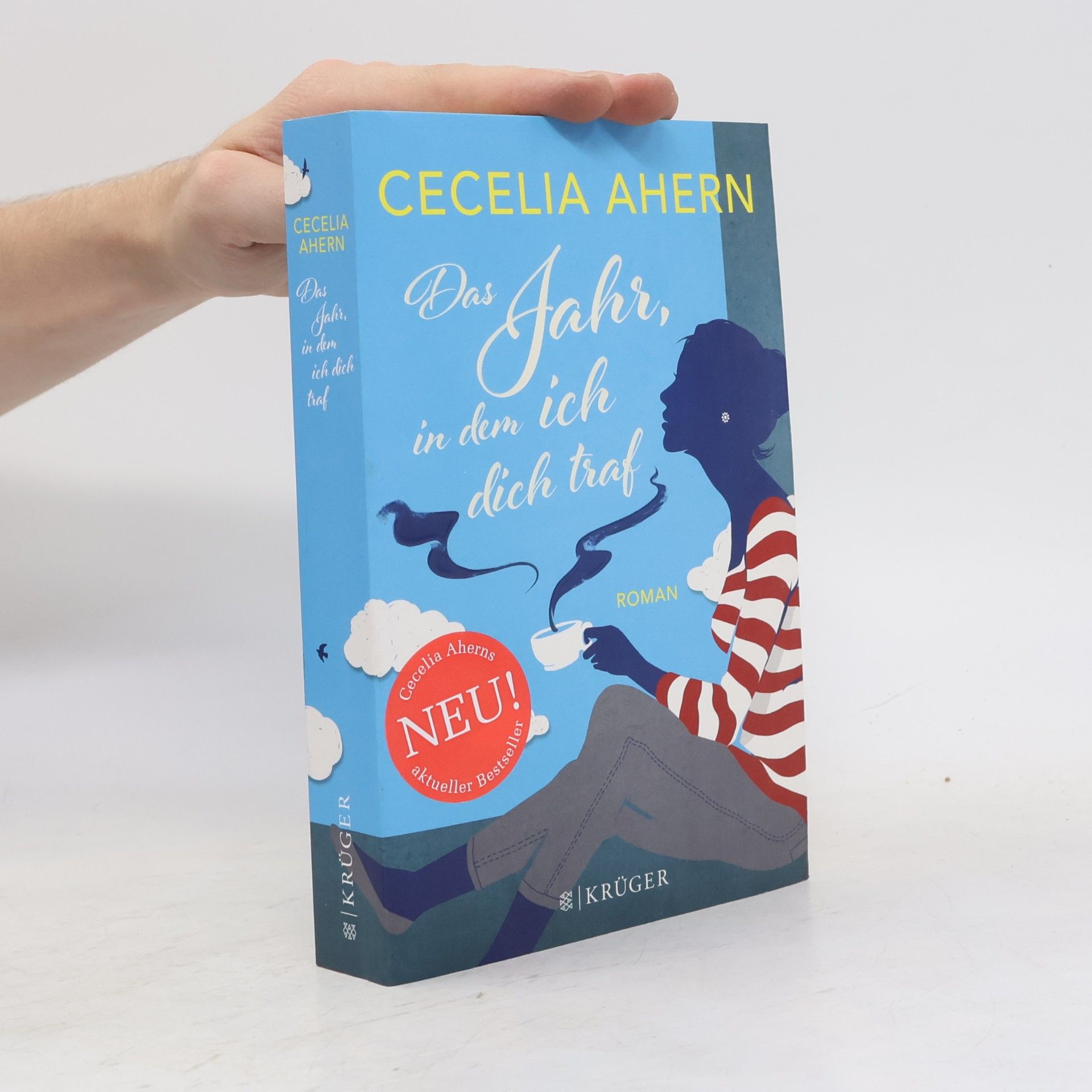 Cecelia Ahern Das Jahr, in dem ich dich traf
