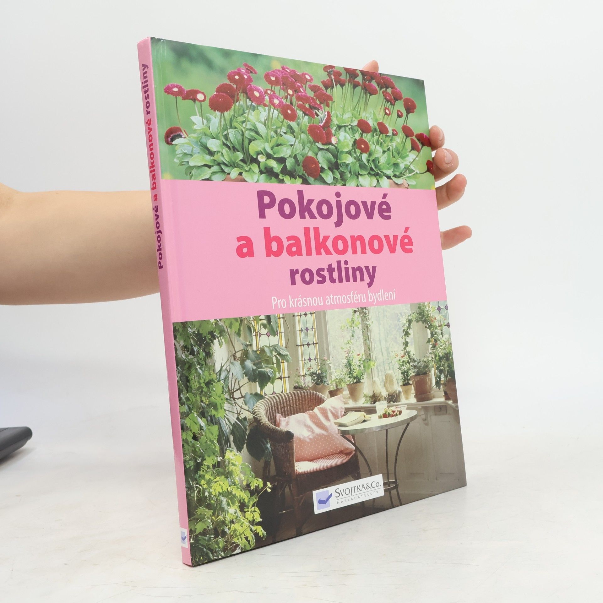 Various authors Pokojové a balkonové rostliny
