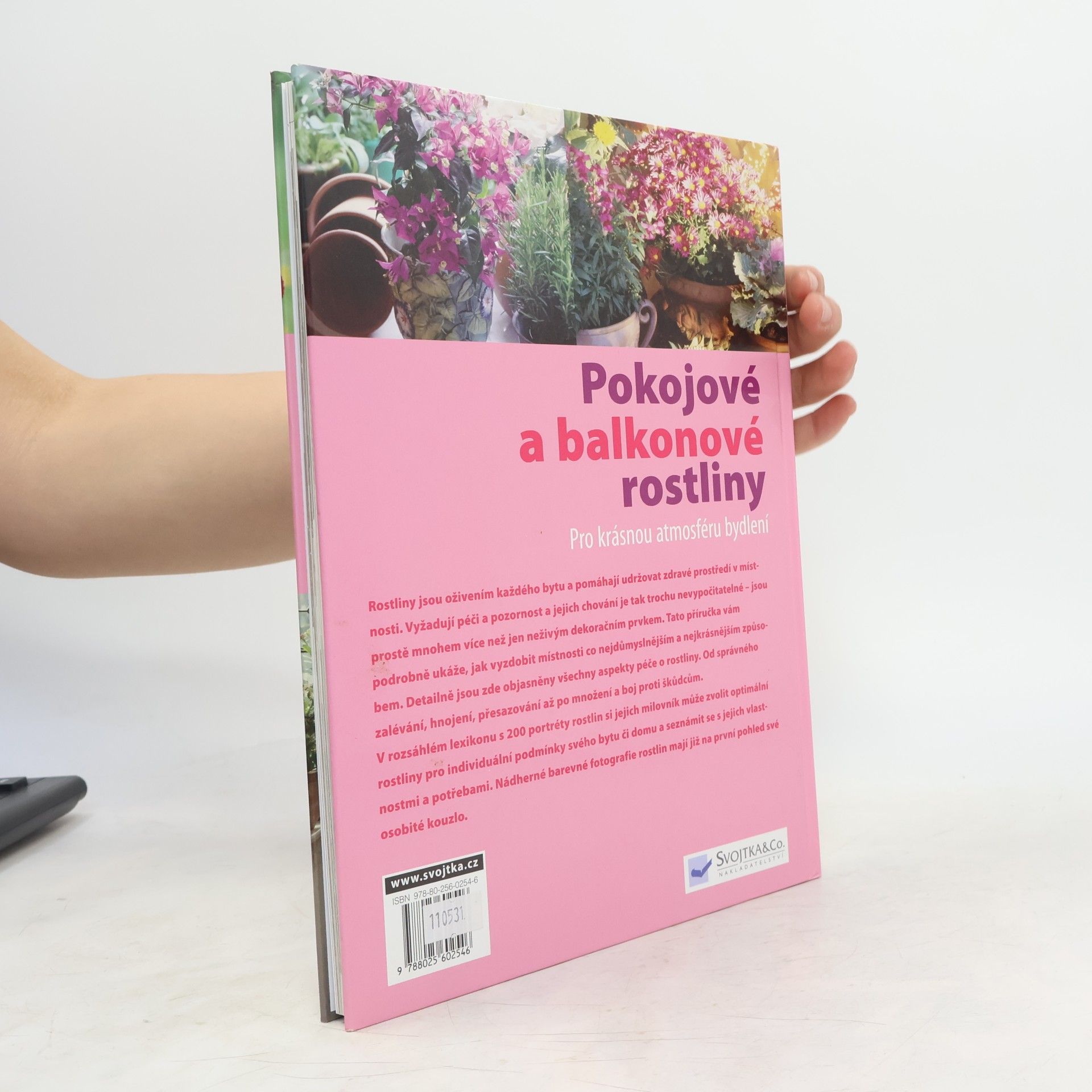 Collectif d'auteurs Pokojové a balkonové rostliny