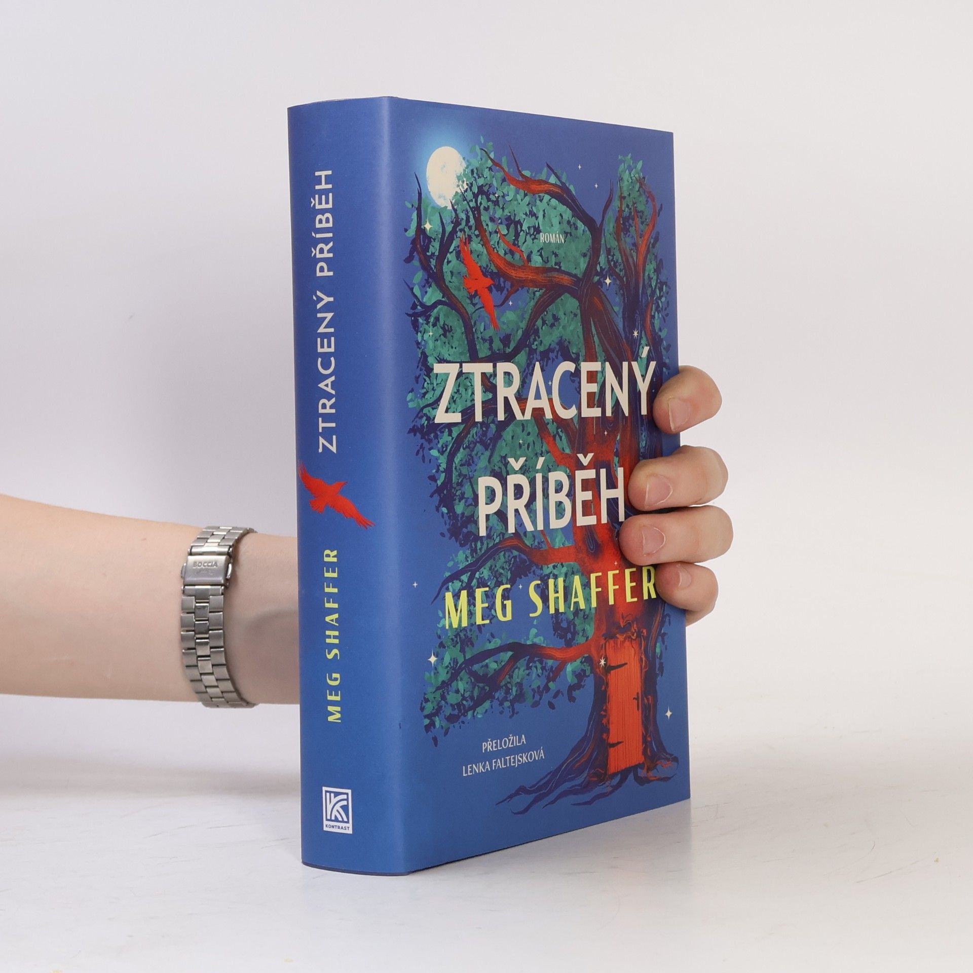 Ztracený příběh