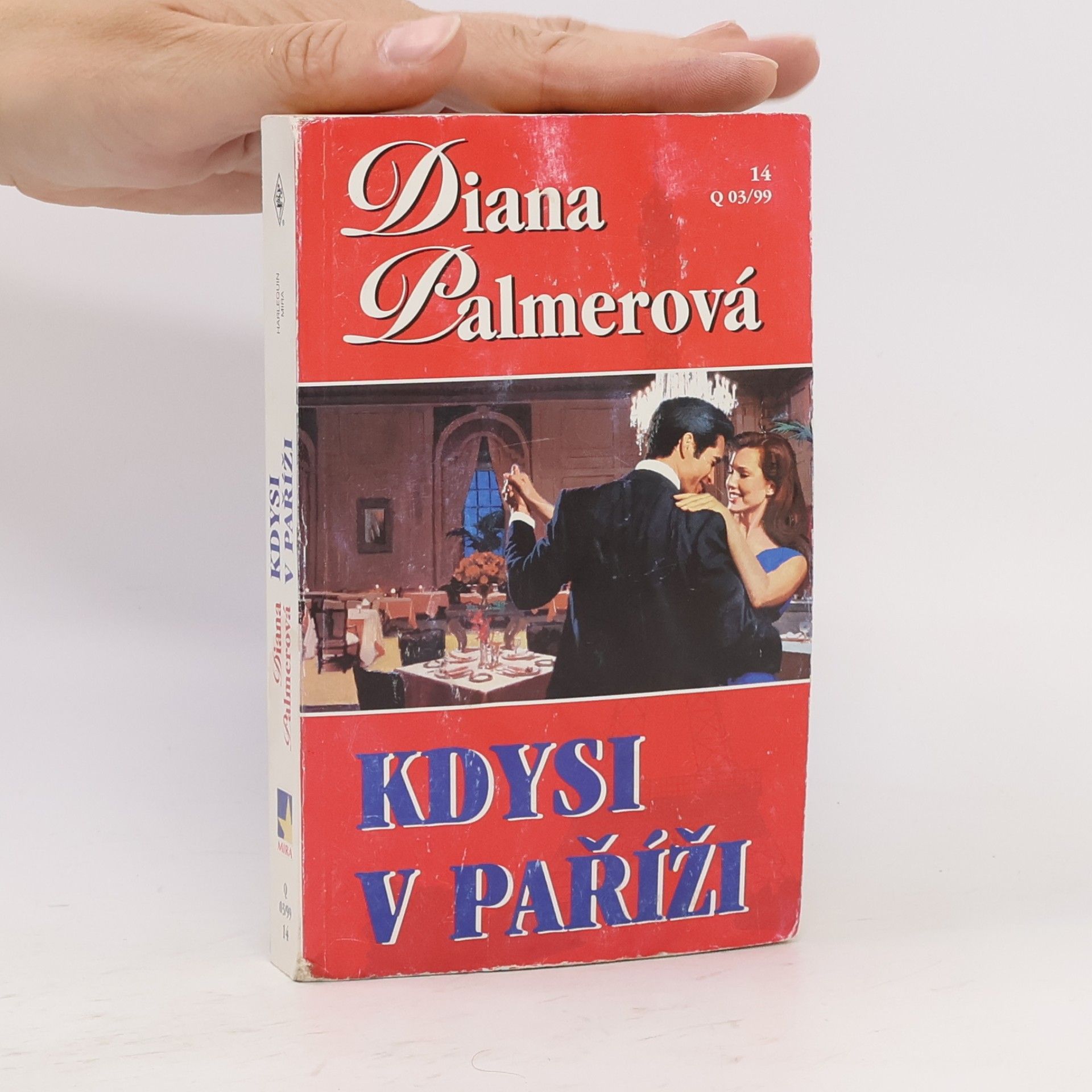 Diana Palmer Kdysi v Paříži