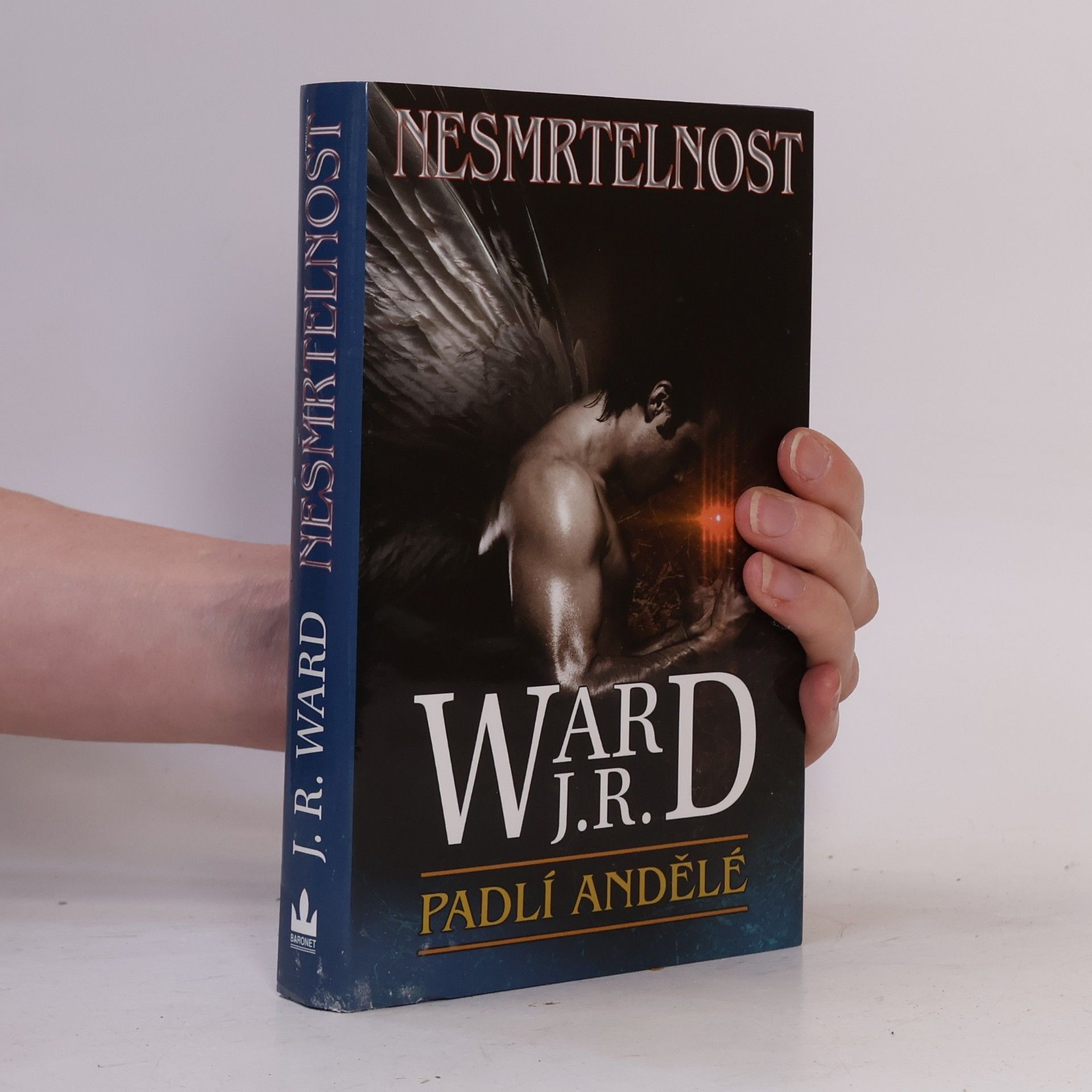 J. R. Ward Nesmrtelnost. Šestý díl románového cyklu Padlí andělé