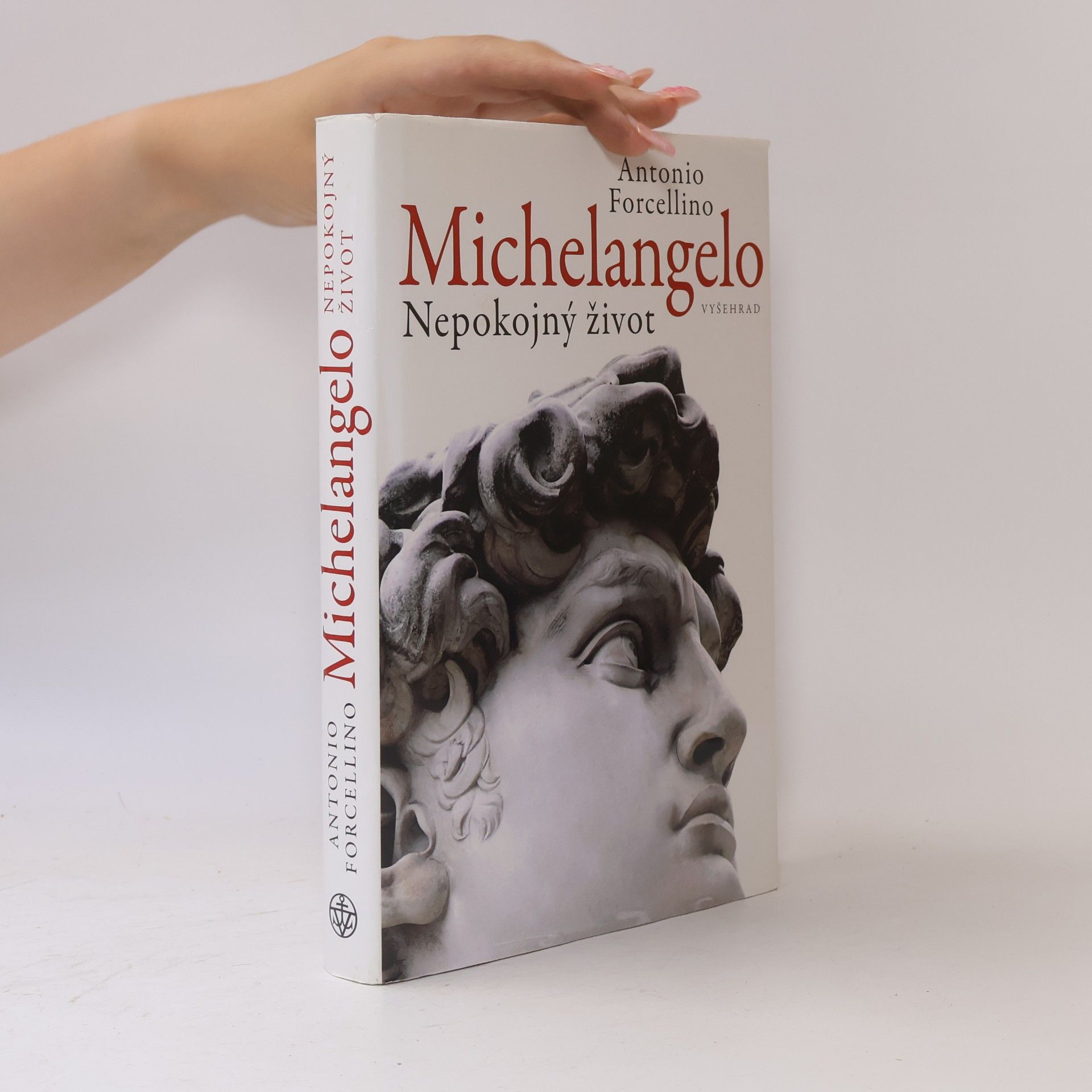Antonio Forcellino Michelangelo: Nepokojný život