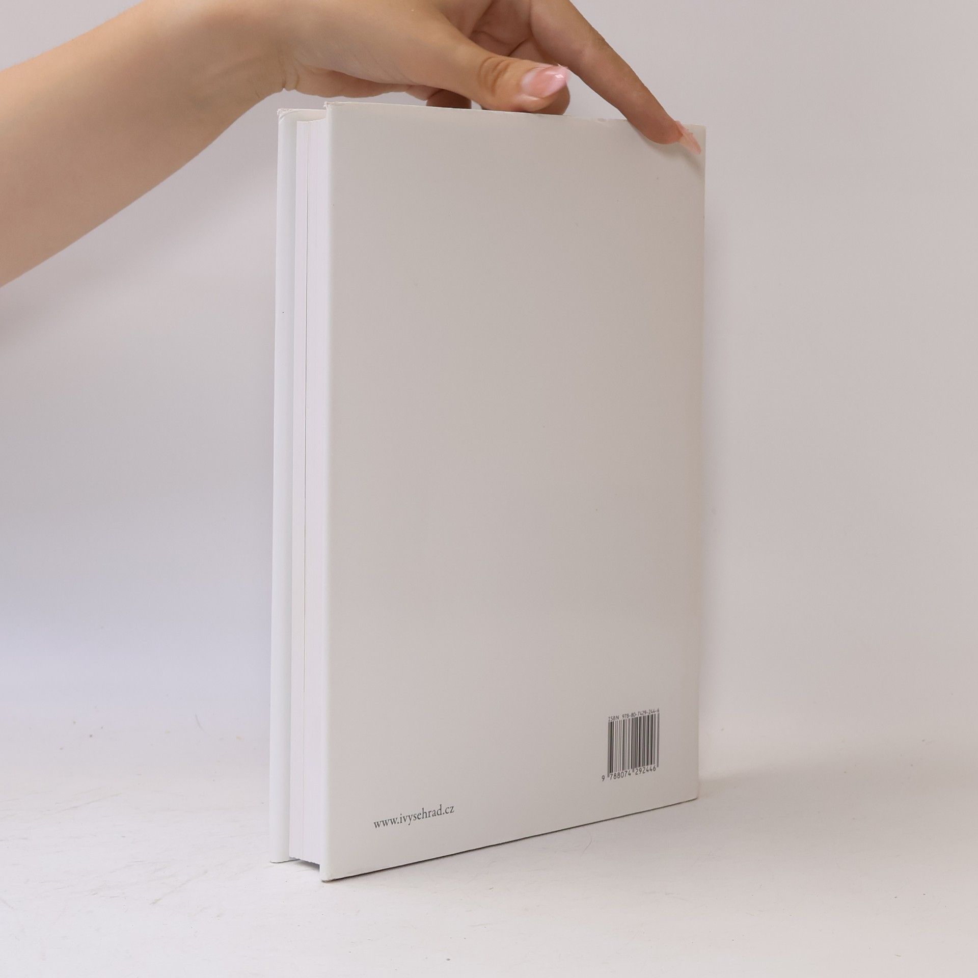 Antonio Forcellino Michelangelo: Nepokojný život