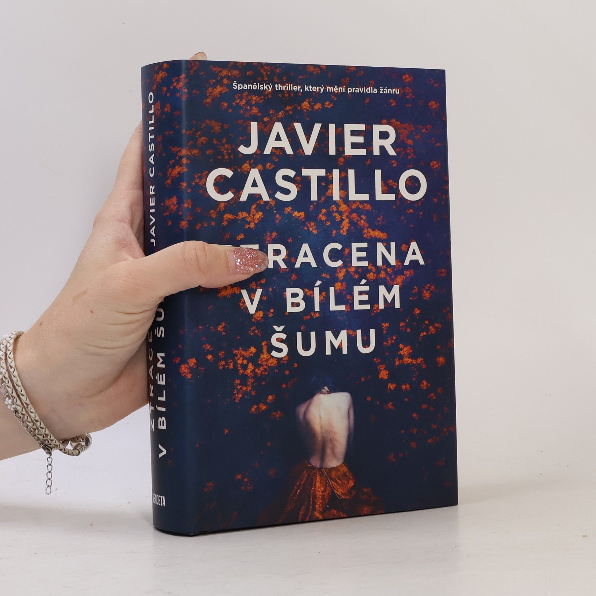 Javier Castillo Ztracena v bílém šumu