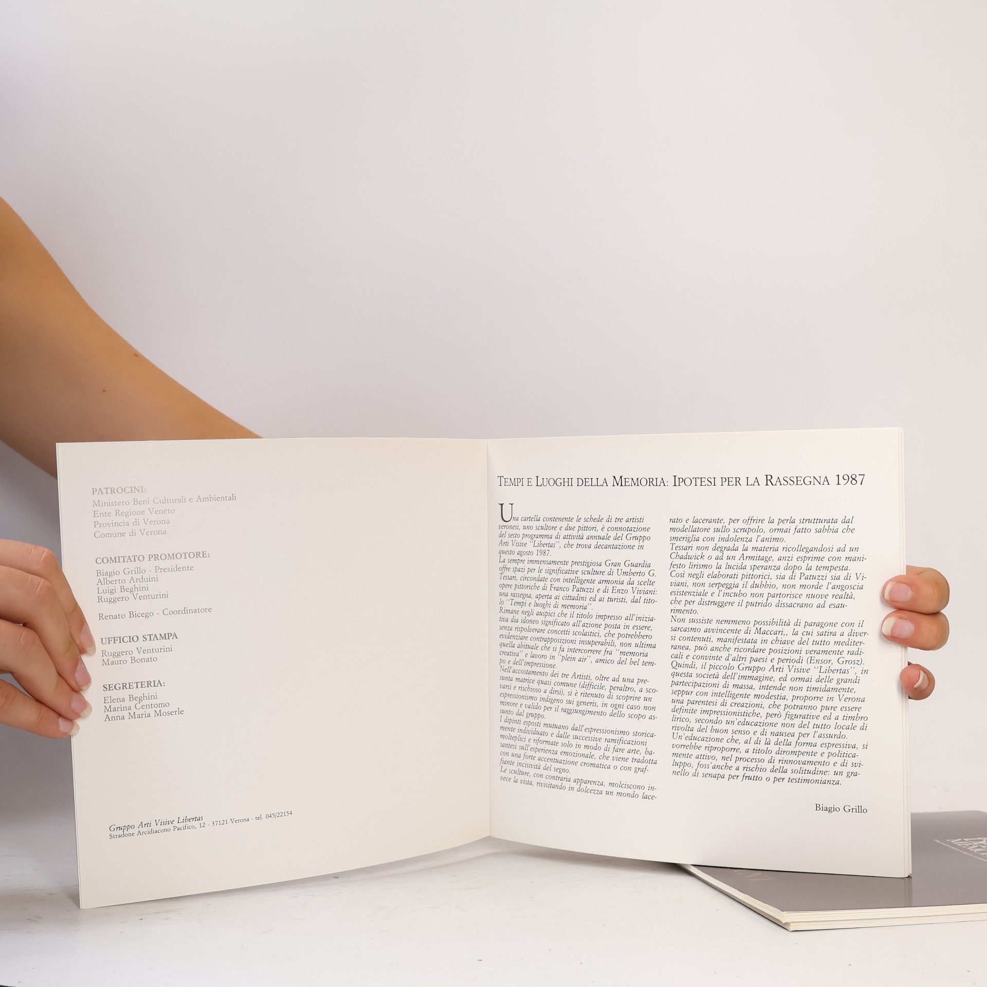 Collectif d'auteurs Tempi e Luoghi della Memoria Tessari, Patuzzi, Viviani