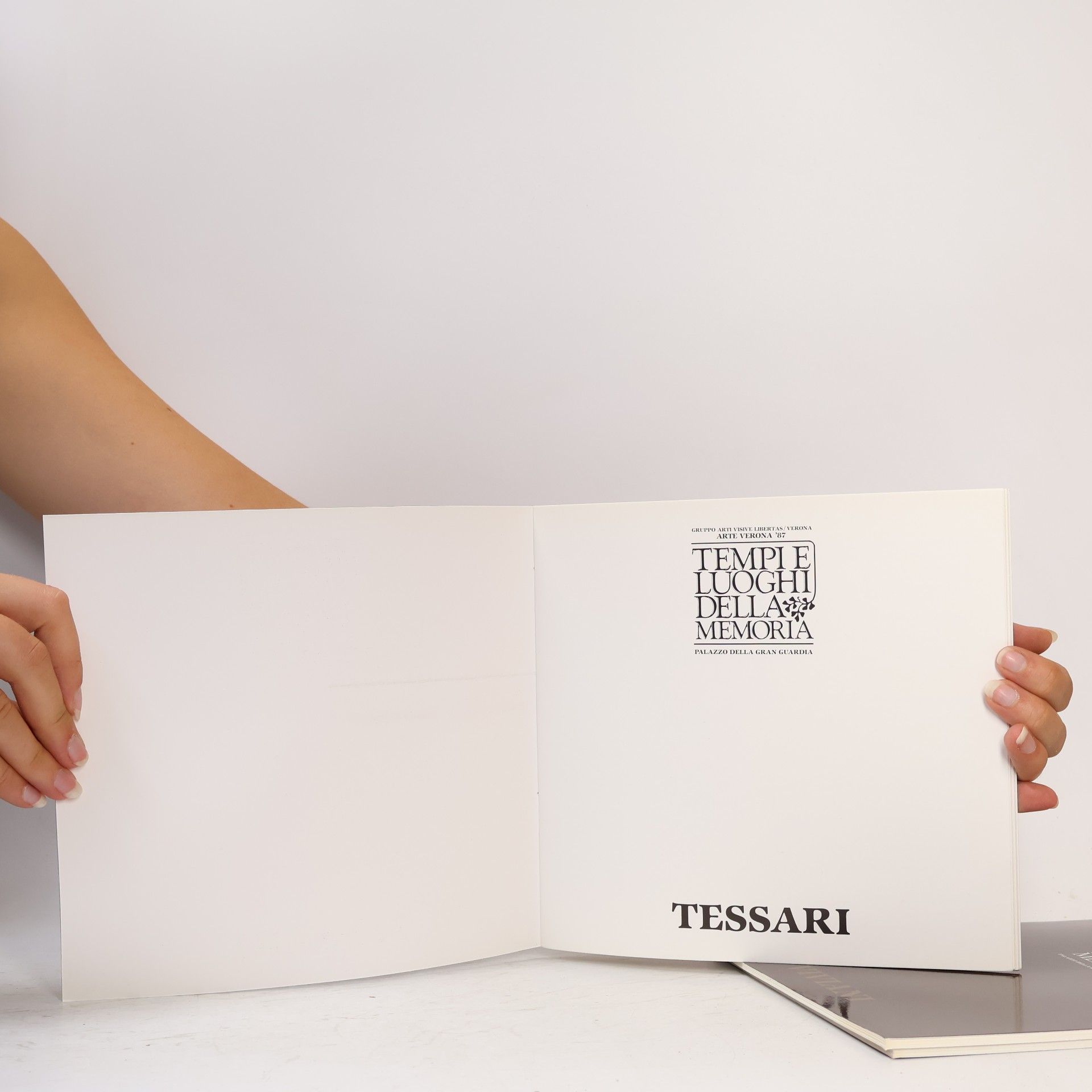 Collectif d'auteurs Tempi e Luoghi della Memoria Tessari, Patuzzi, Viviani