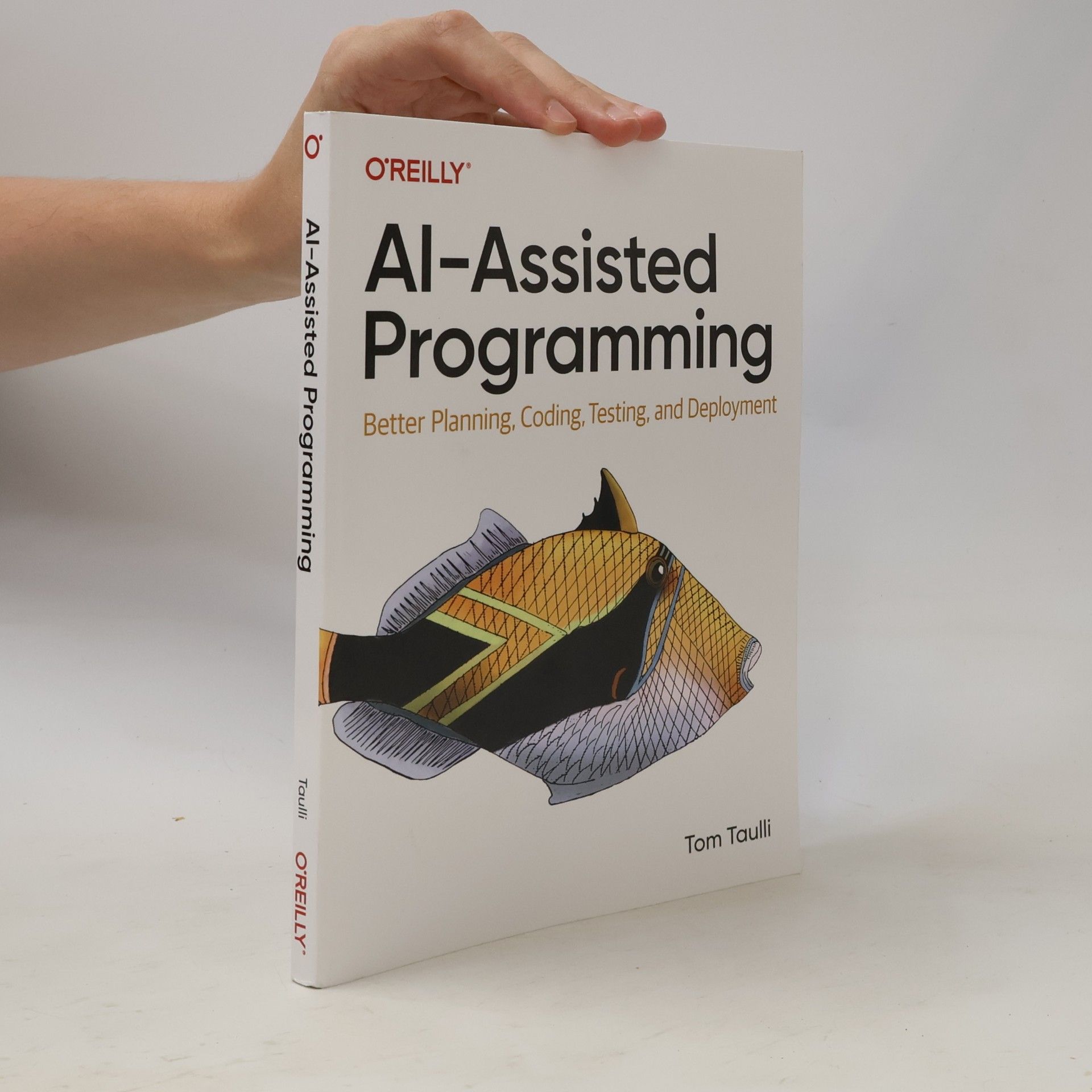 Tom Taulli AI-Assisted Programming
