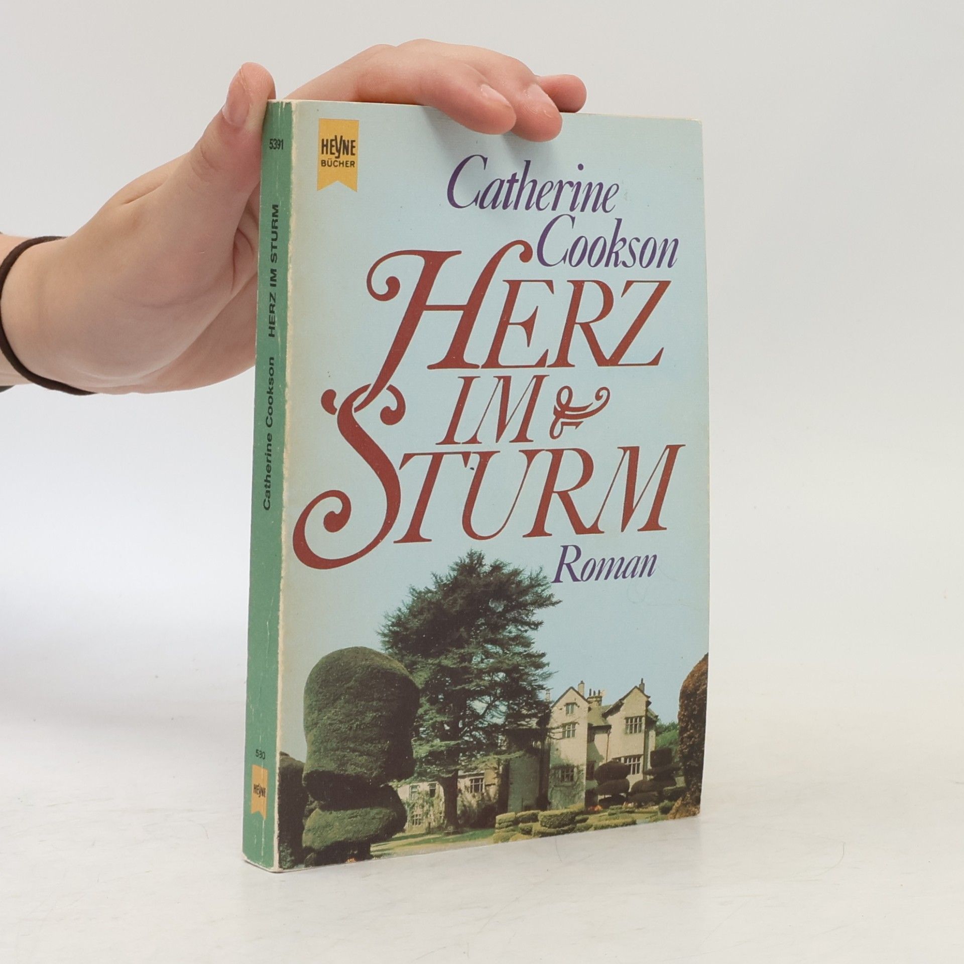 Catherine Cookson Herz im Sturm