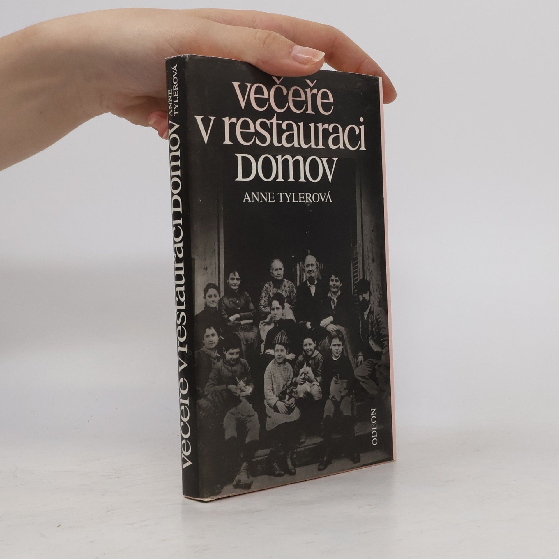 Večeře v restauraci Domov