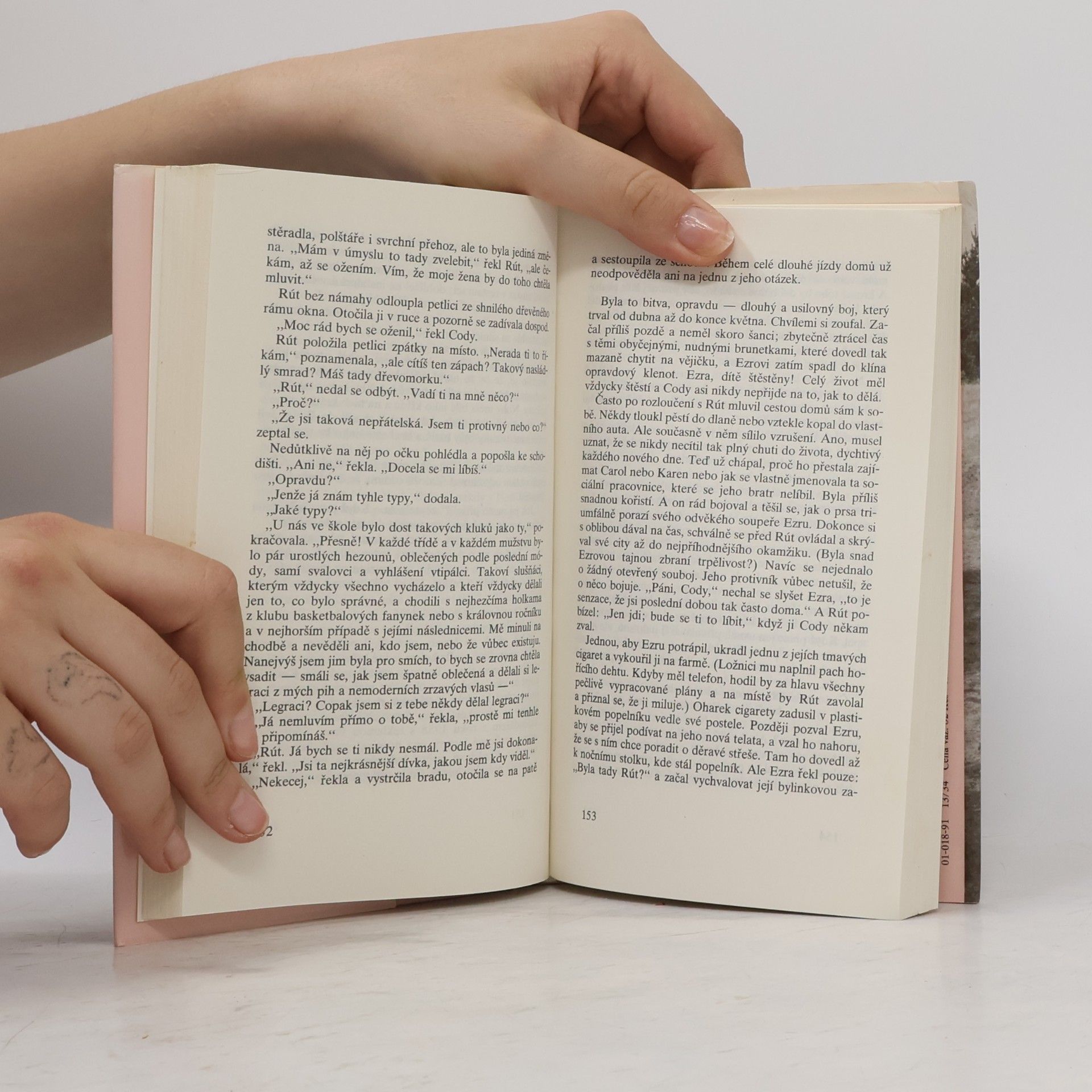 Anne Tyler Večeře v restauraci Domov