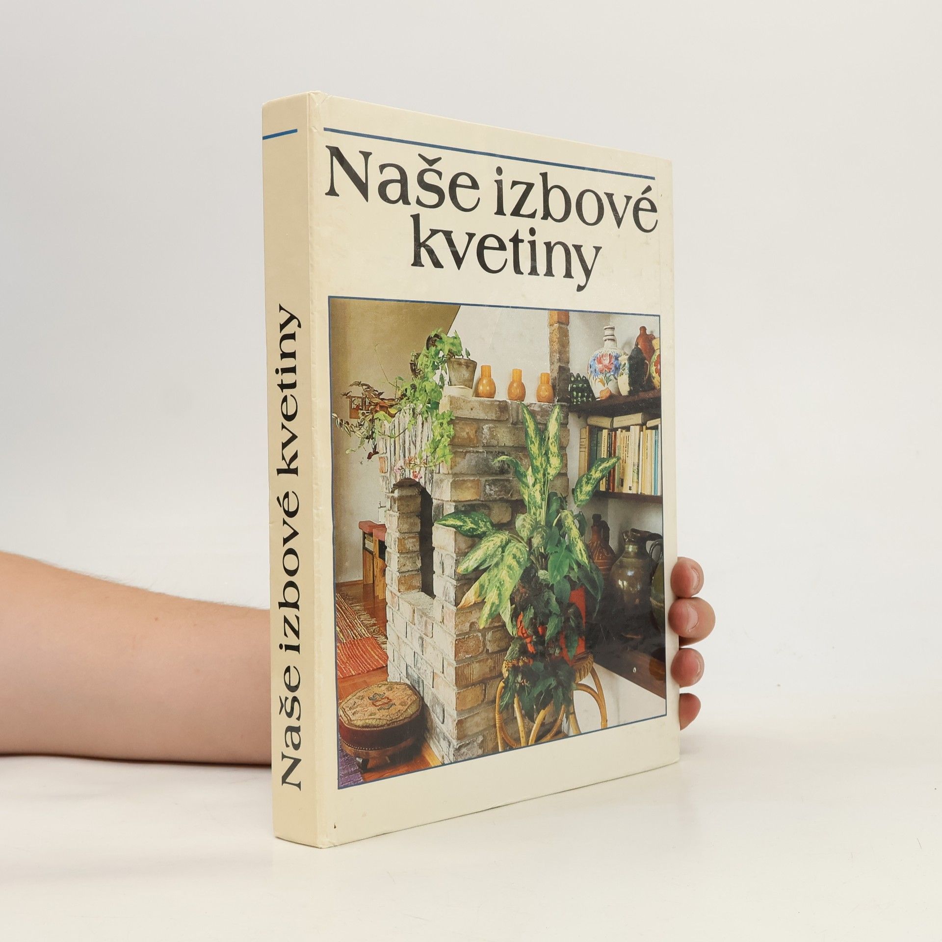 Lajos Lelkes Naše izbové kvetiny