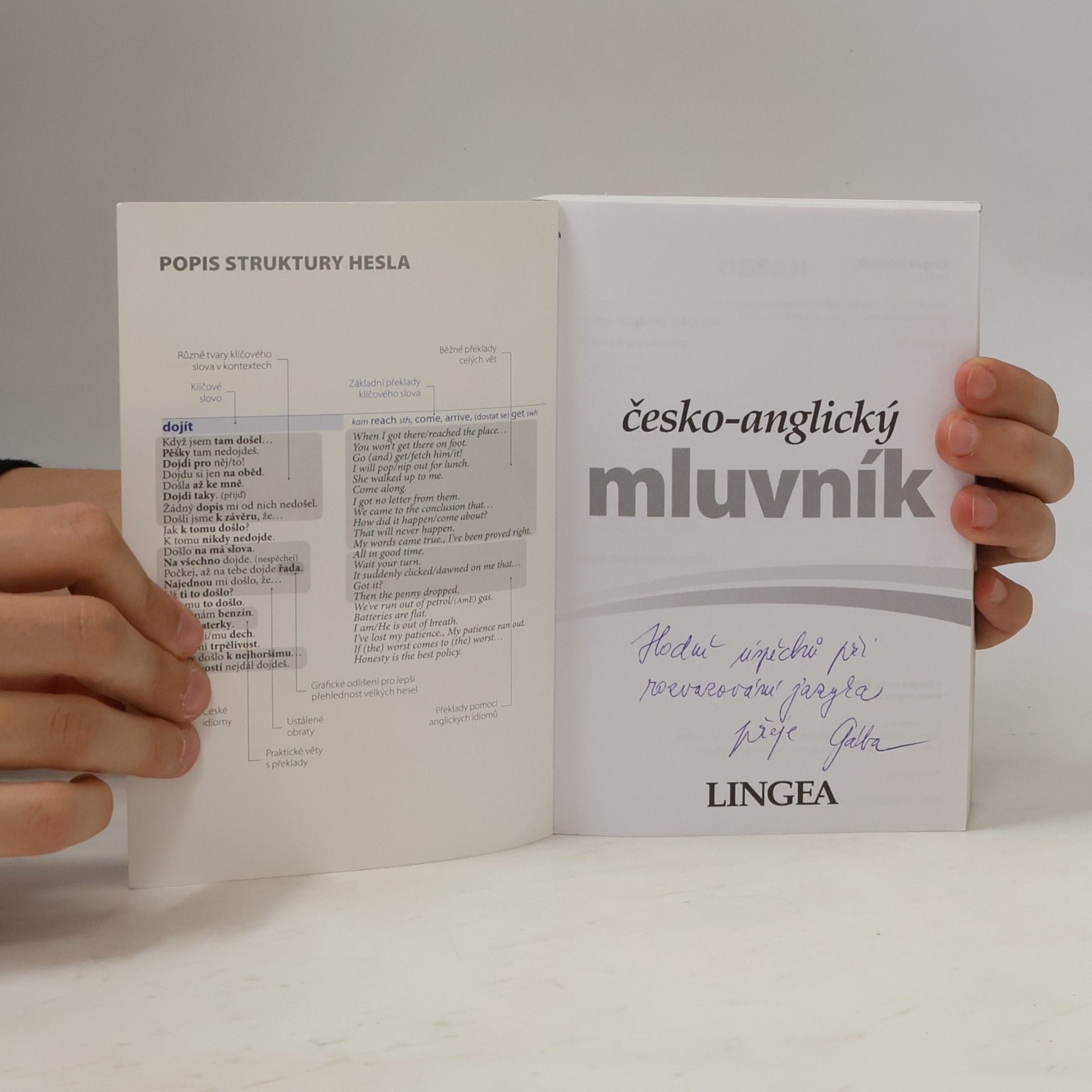 Autores varios Česko-anglický mluvník