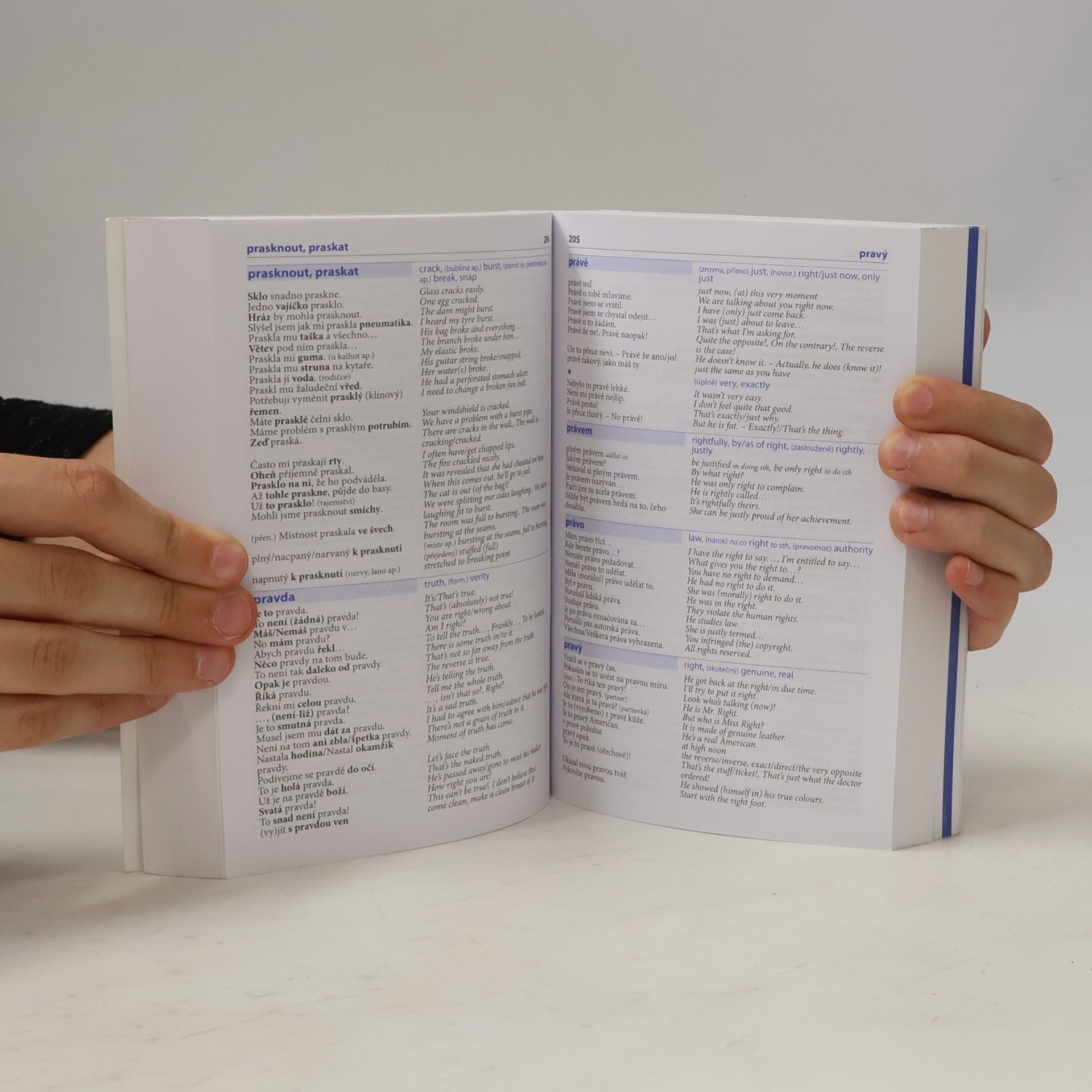Autores varios Česko-anglický mluvník