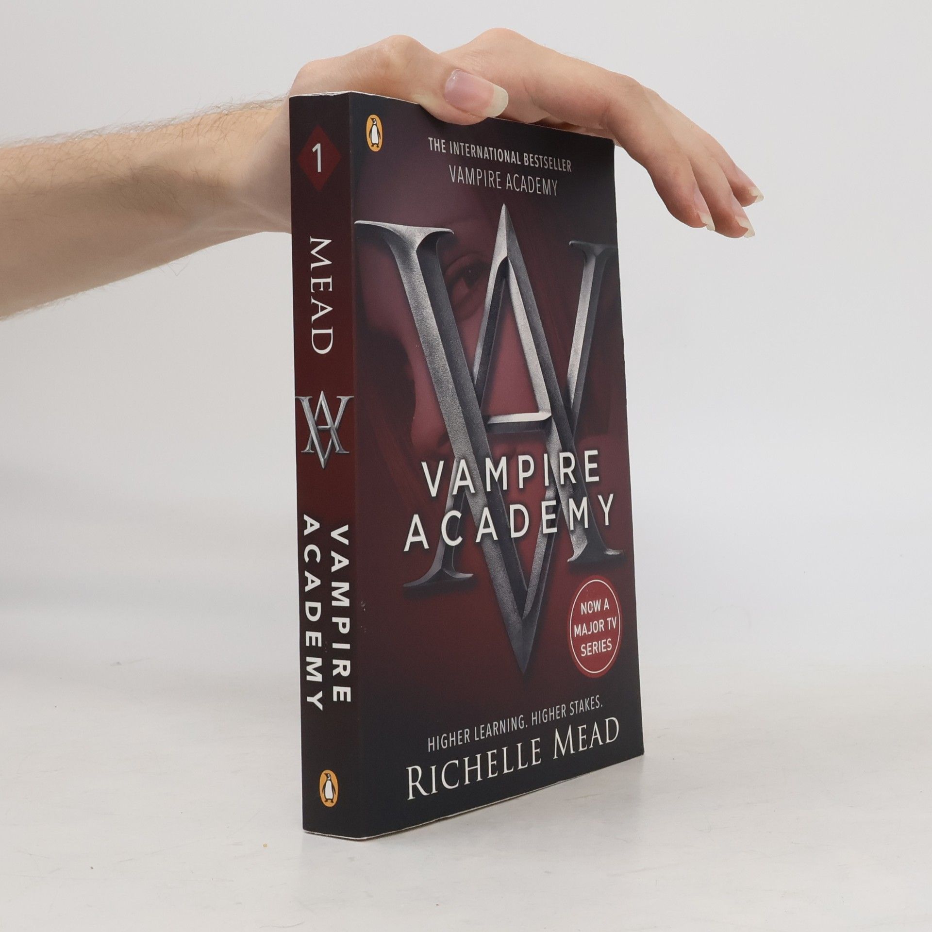 Richelle Mead Vampire academy