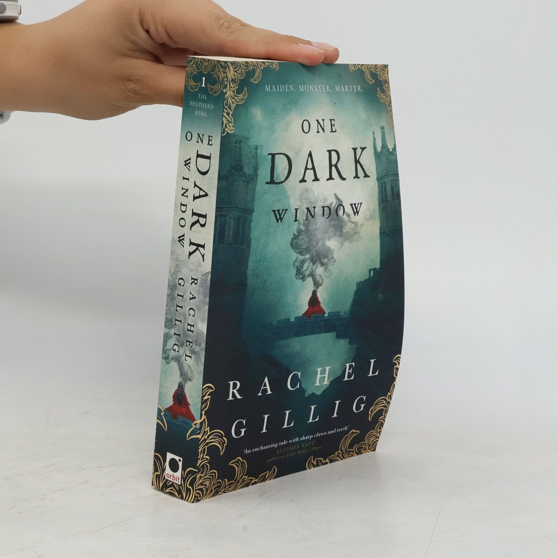 Rachel Gillig One Dark Window